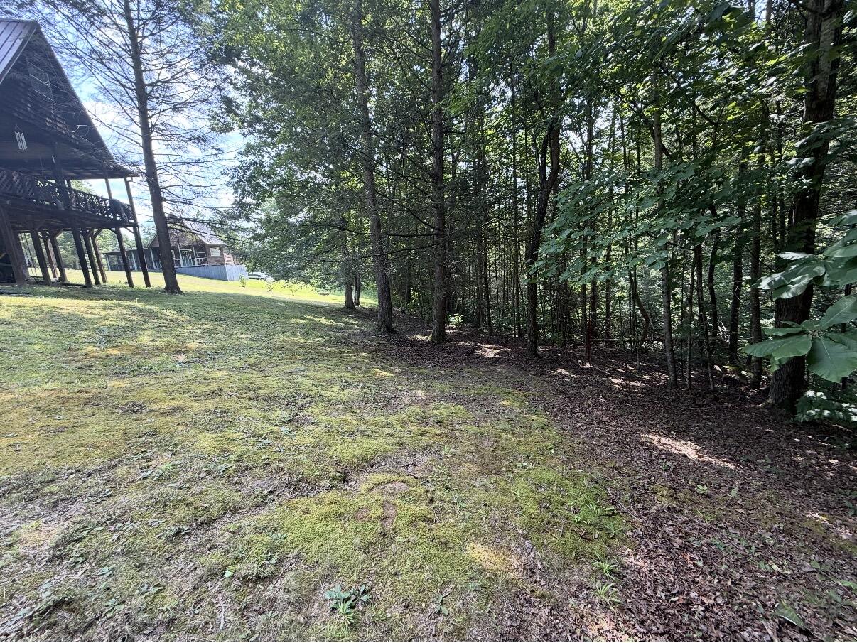135 Isaac Drive Property Photo 11