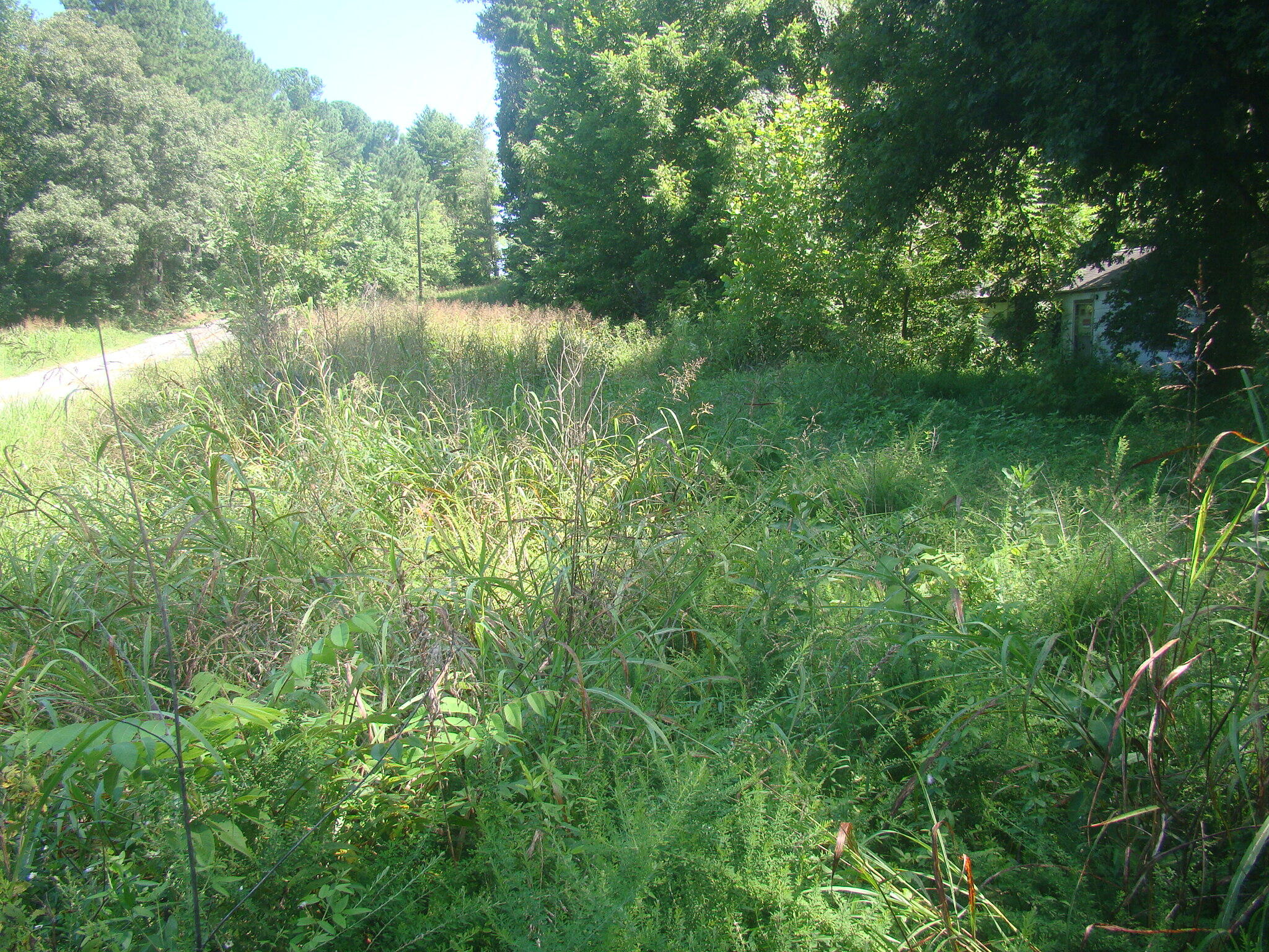 3994 4000 Old Dover Rd Road Property Photo 1
