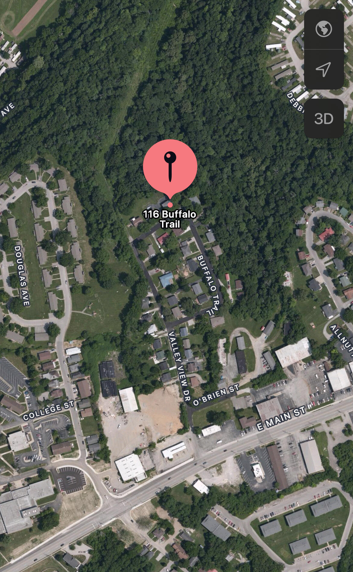 116 Buffalo Trail Property Photo 11