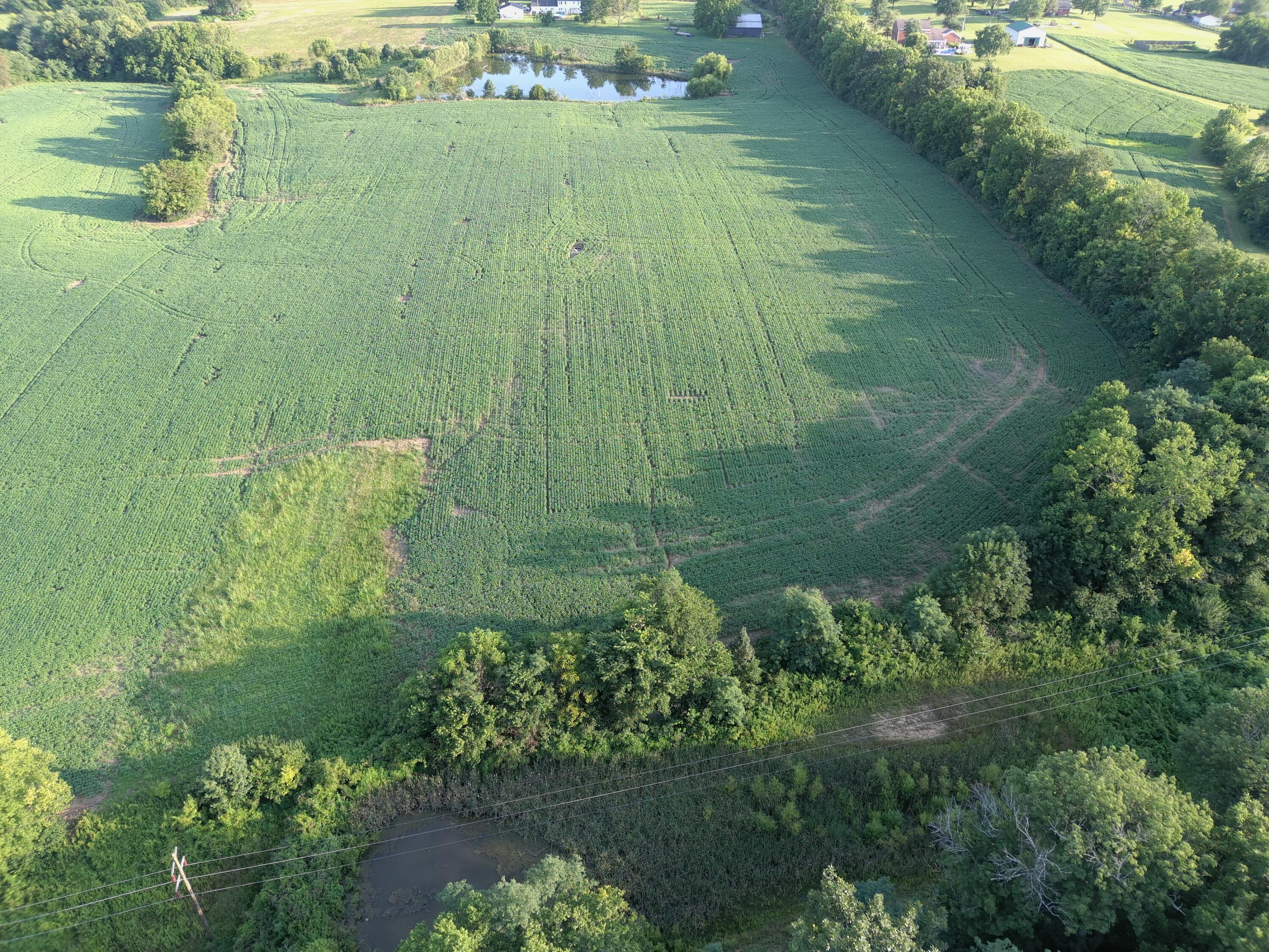 8061 Perryville Road Property Photo 7
