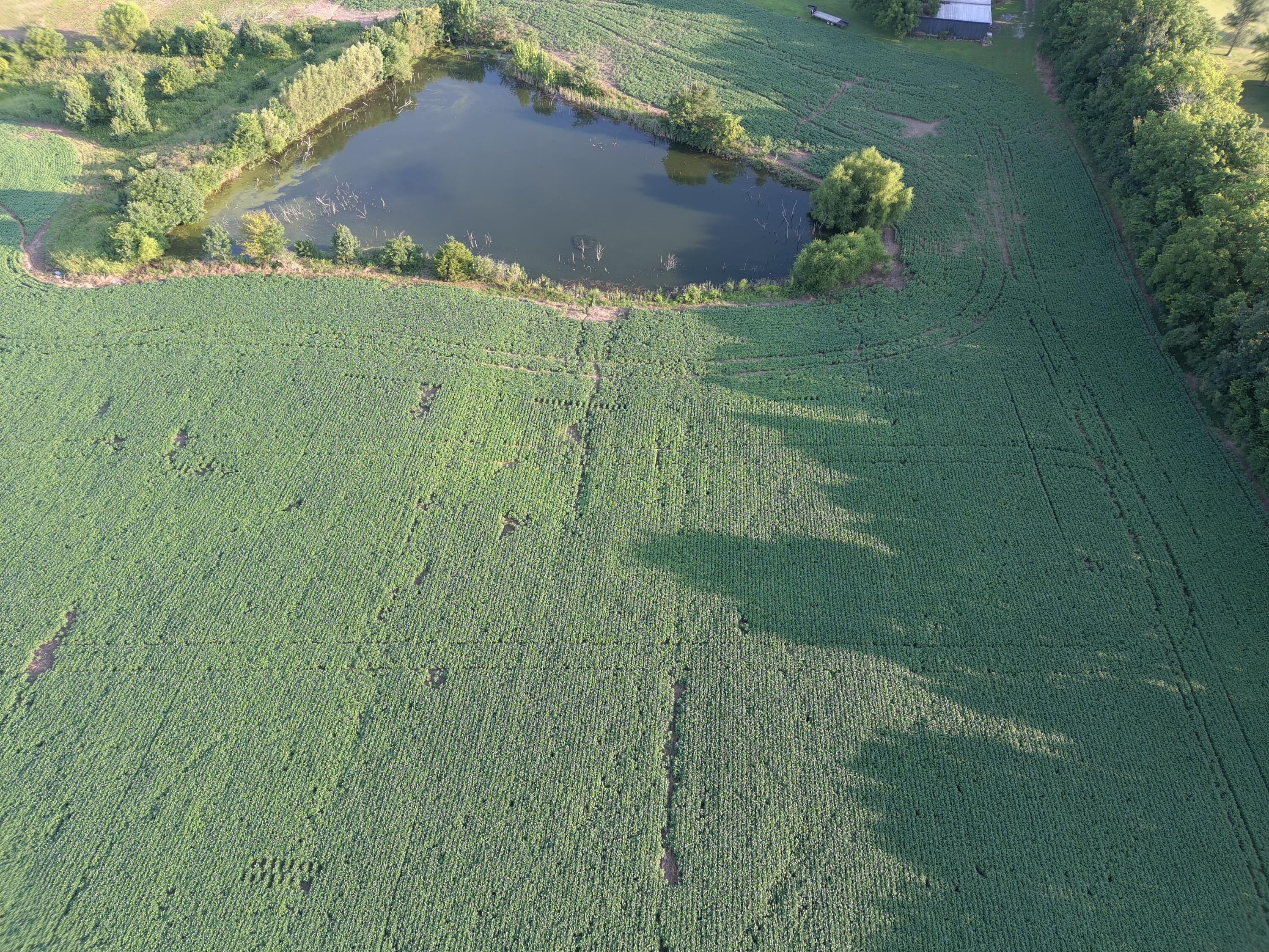 8061 Perryville Road Property Photo 8