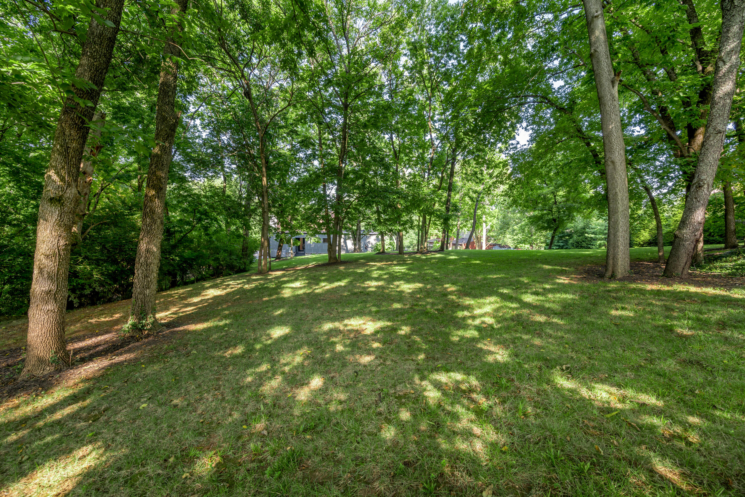 916 Bravington Way Property Photo 81