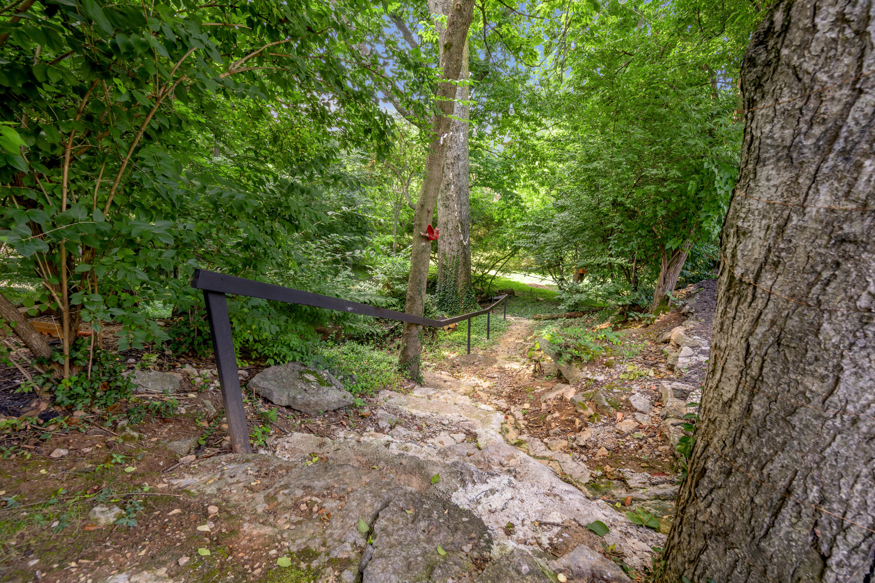 916 Bravington Way Property Photo 87