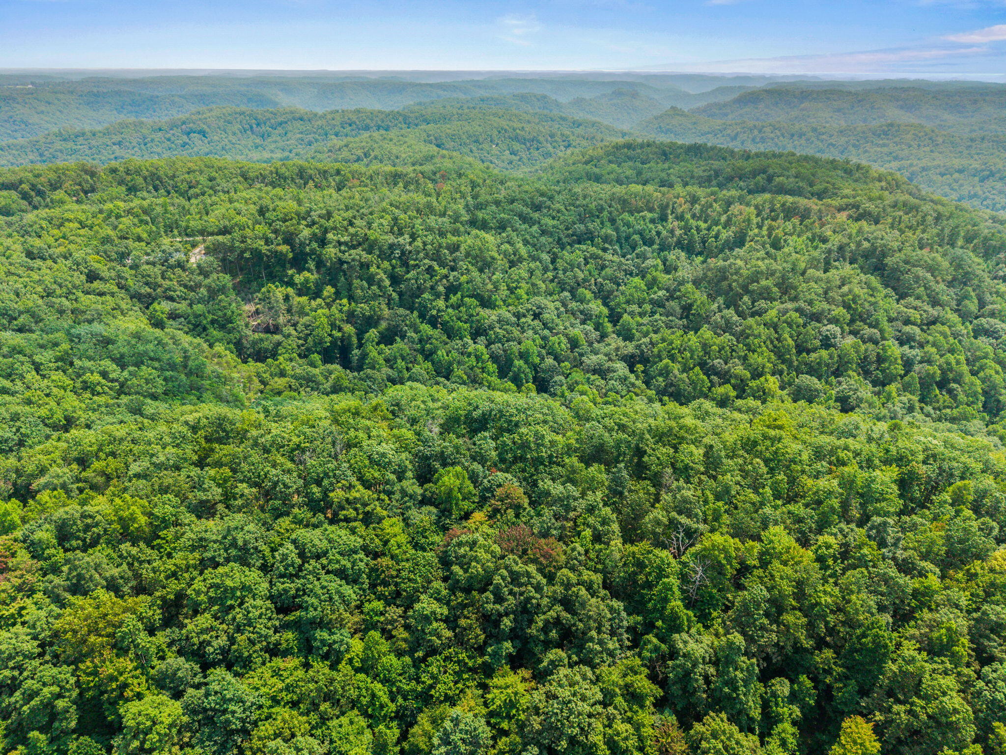 Lot 79 Property Photo 2