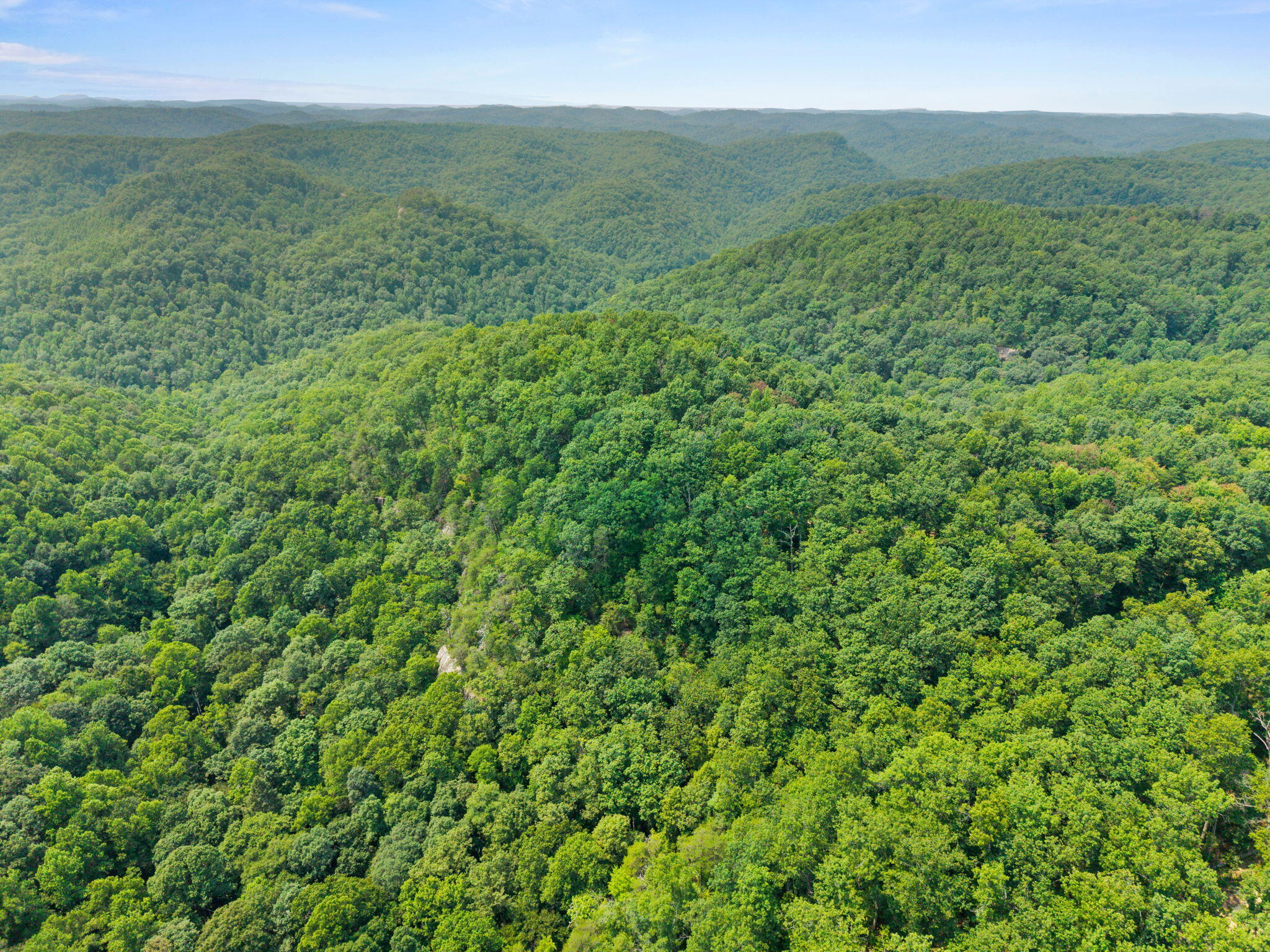 Lot 79 Property Photo 3