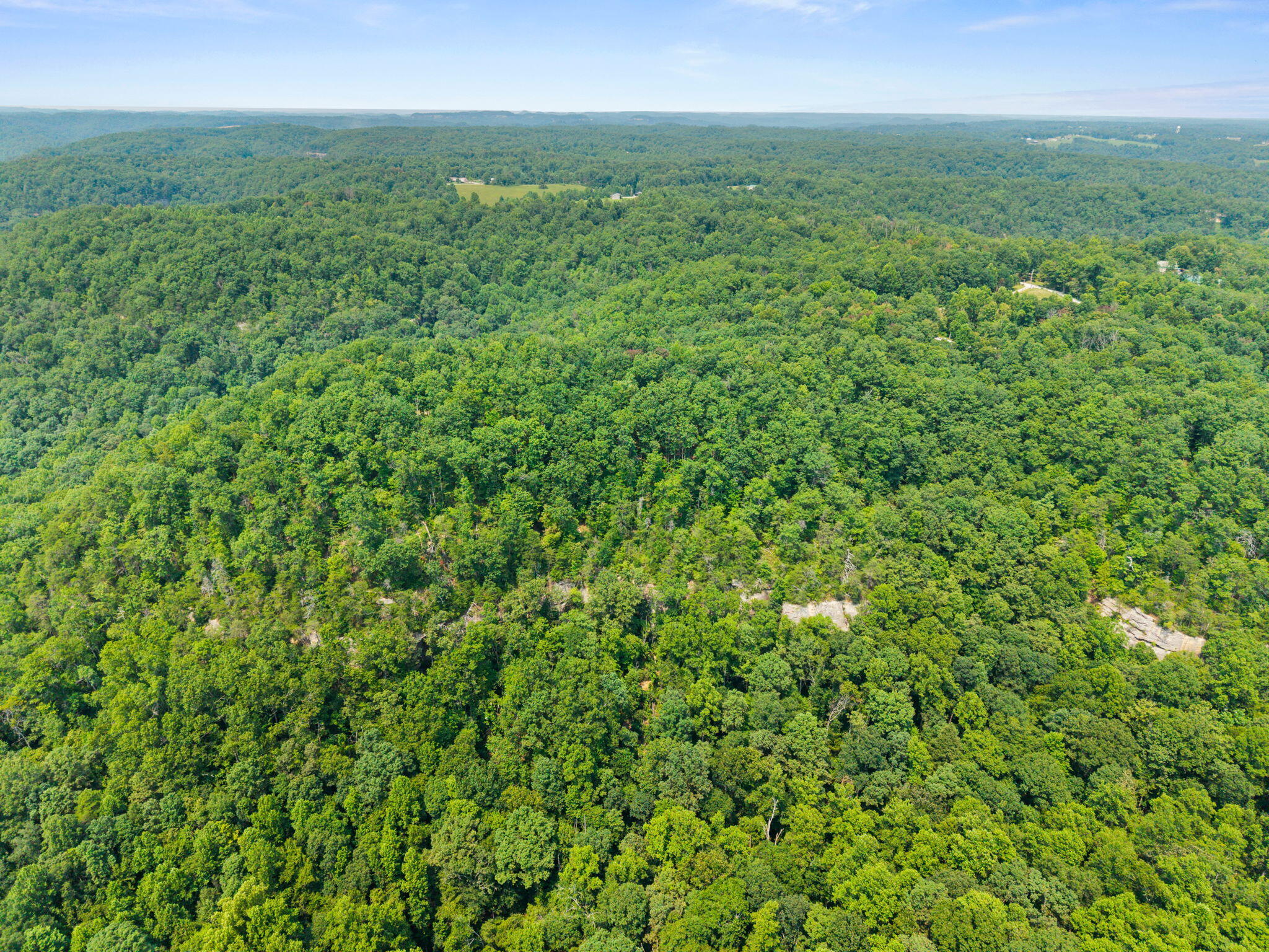 Lot 79 Property Photo 4