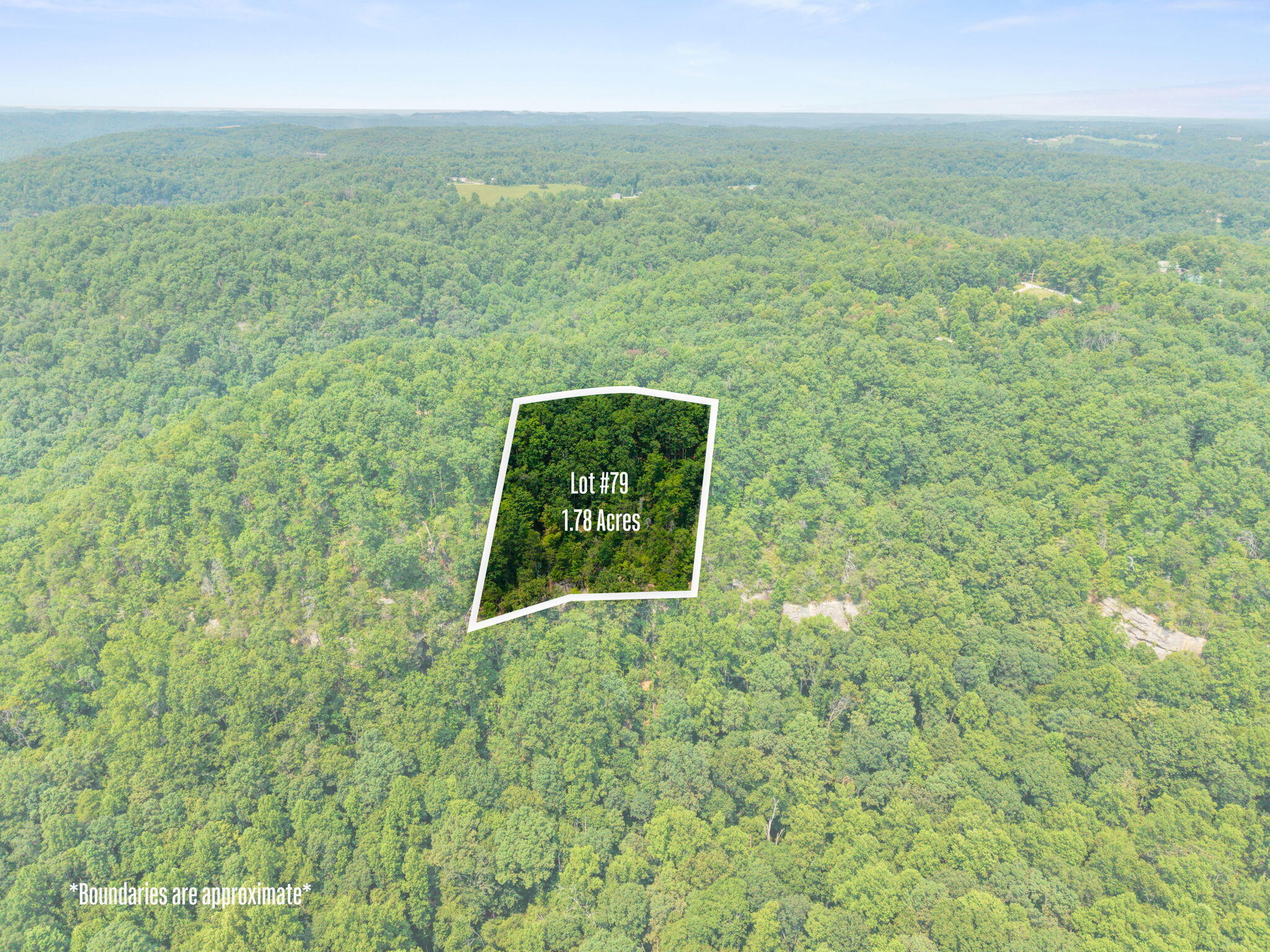 Lot 79 Property Photo 5