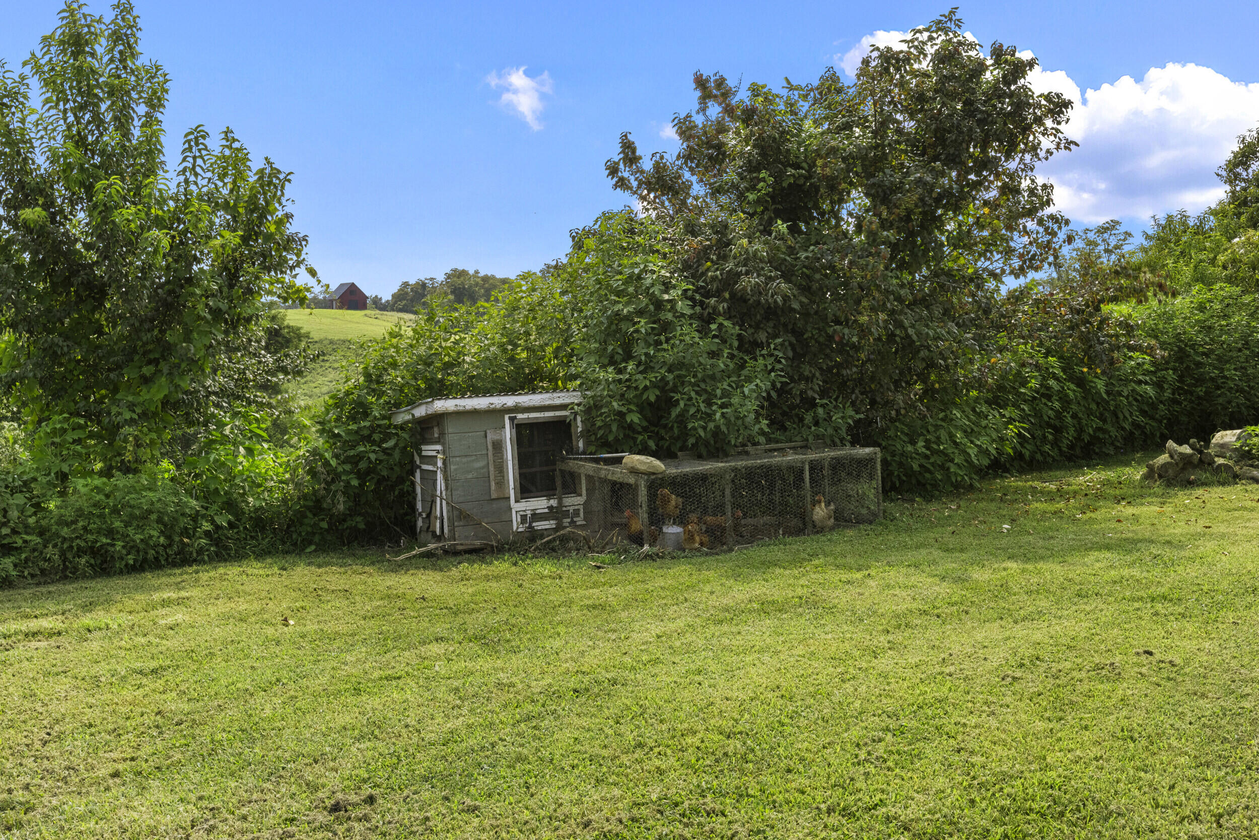 400 Turner Ridge Spur Property Photo 71
