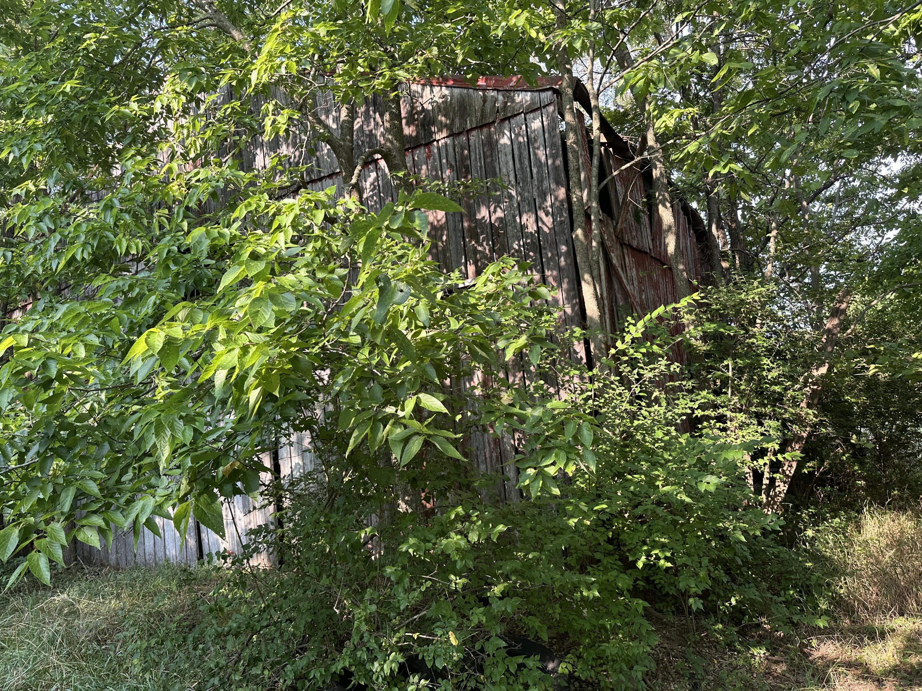 8755 Cincinnati Pike Property Photo 9