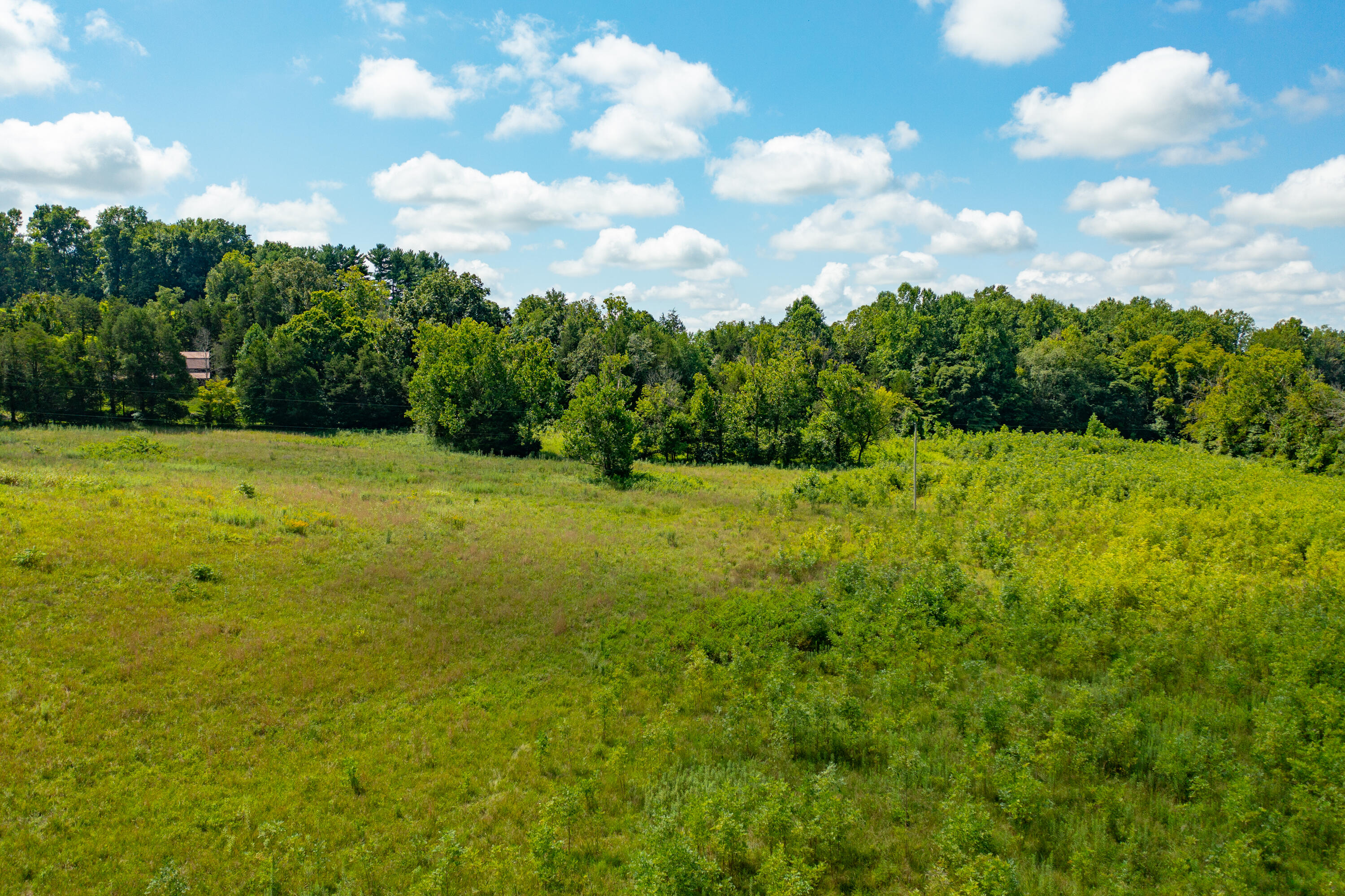 0000 Quail View Ln Property Photo 19