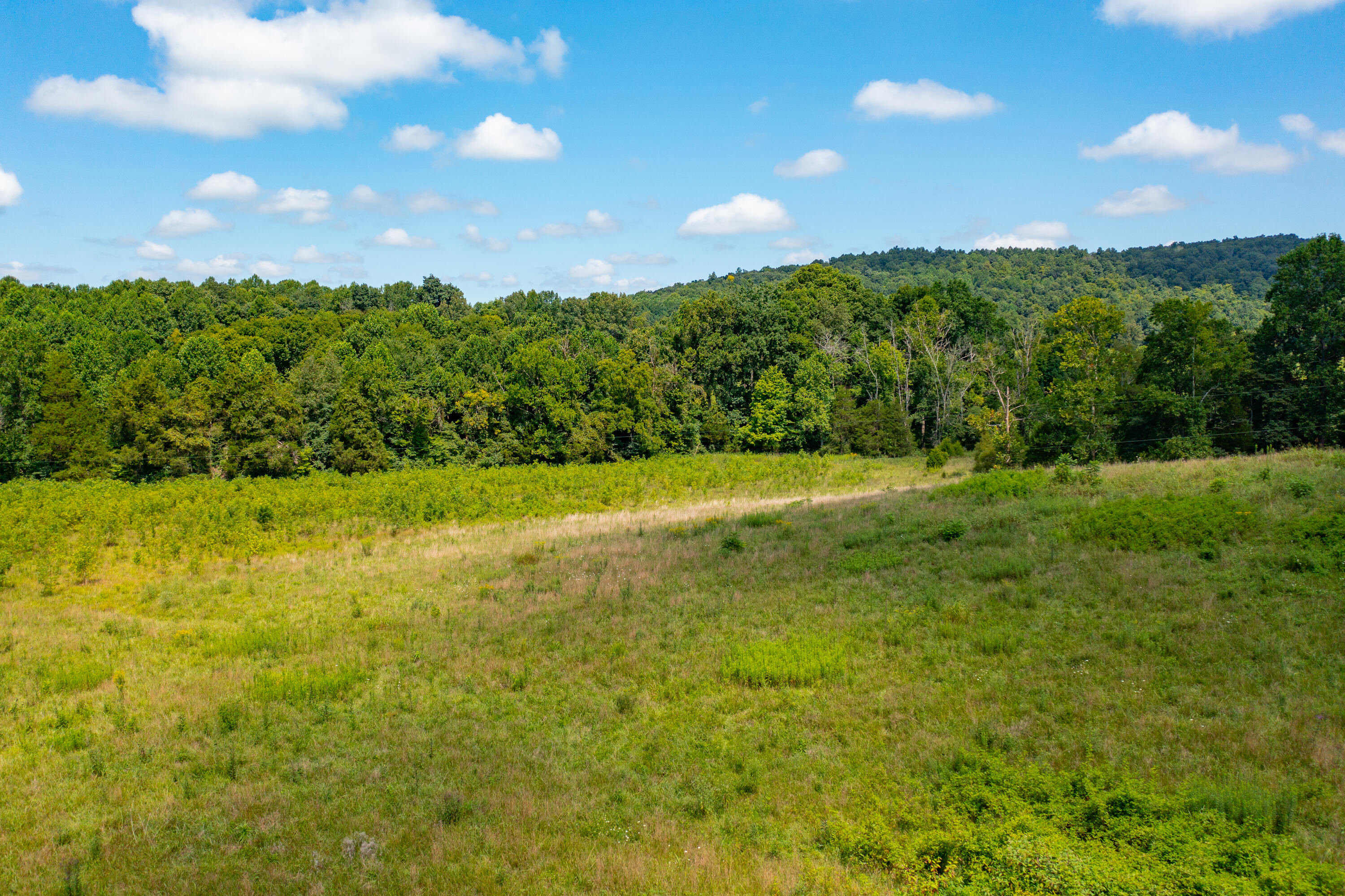 0000 Quail View Ln Property Photo 21