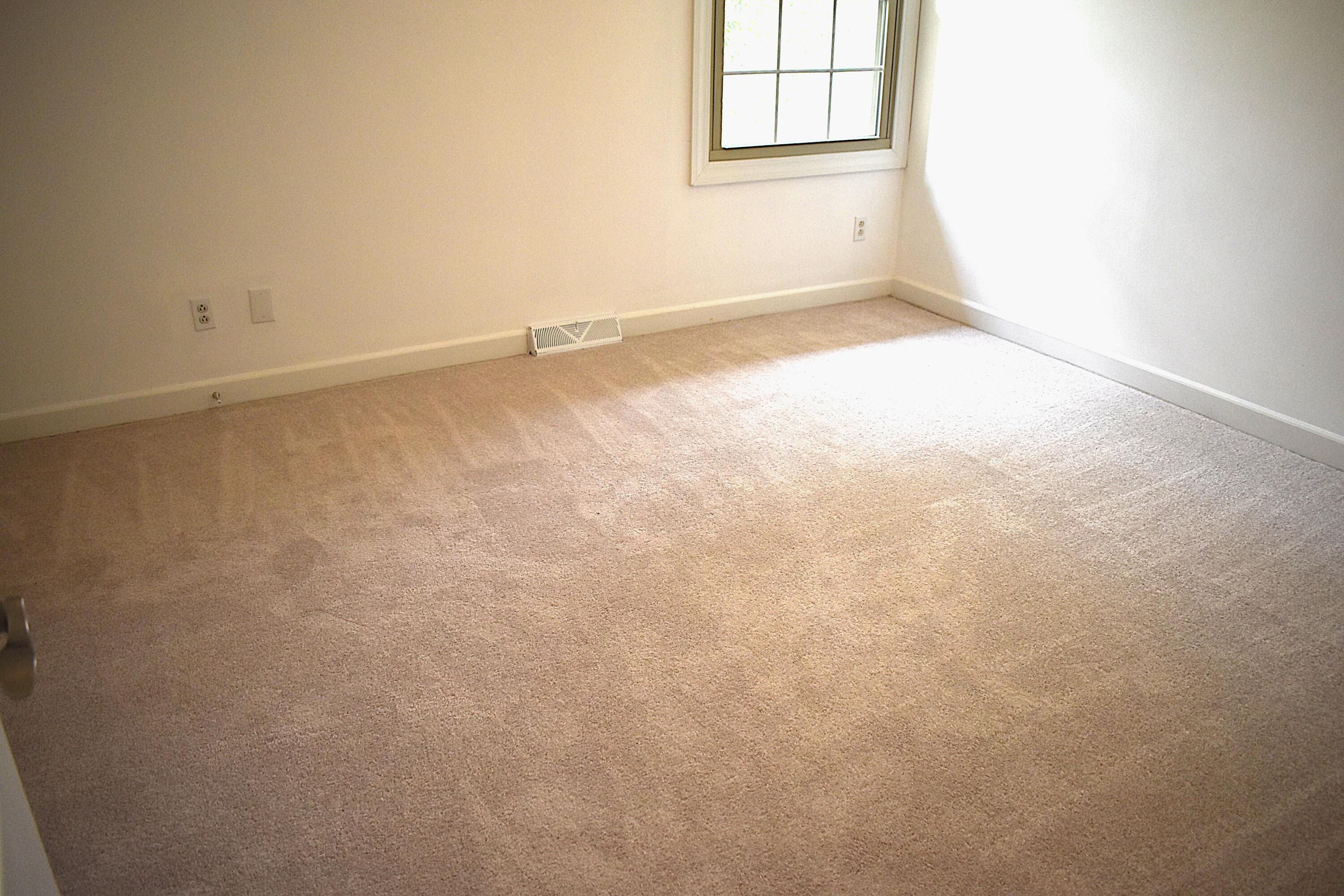 204 Regency Point Path Property Photo 24