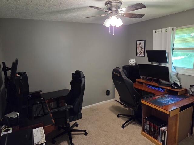 131 Echo Springs Drive Property Photo 22