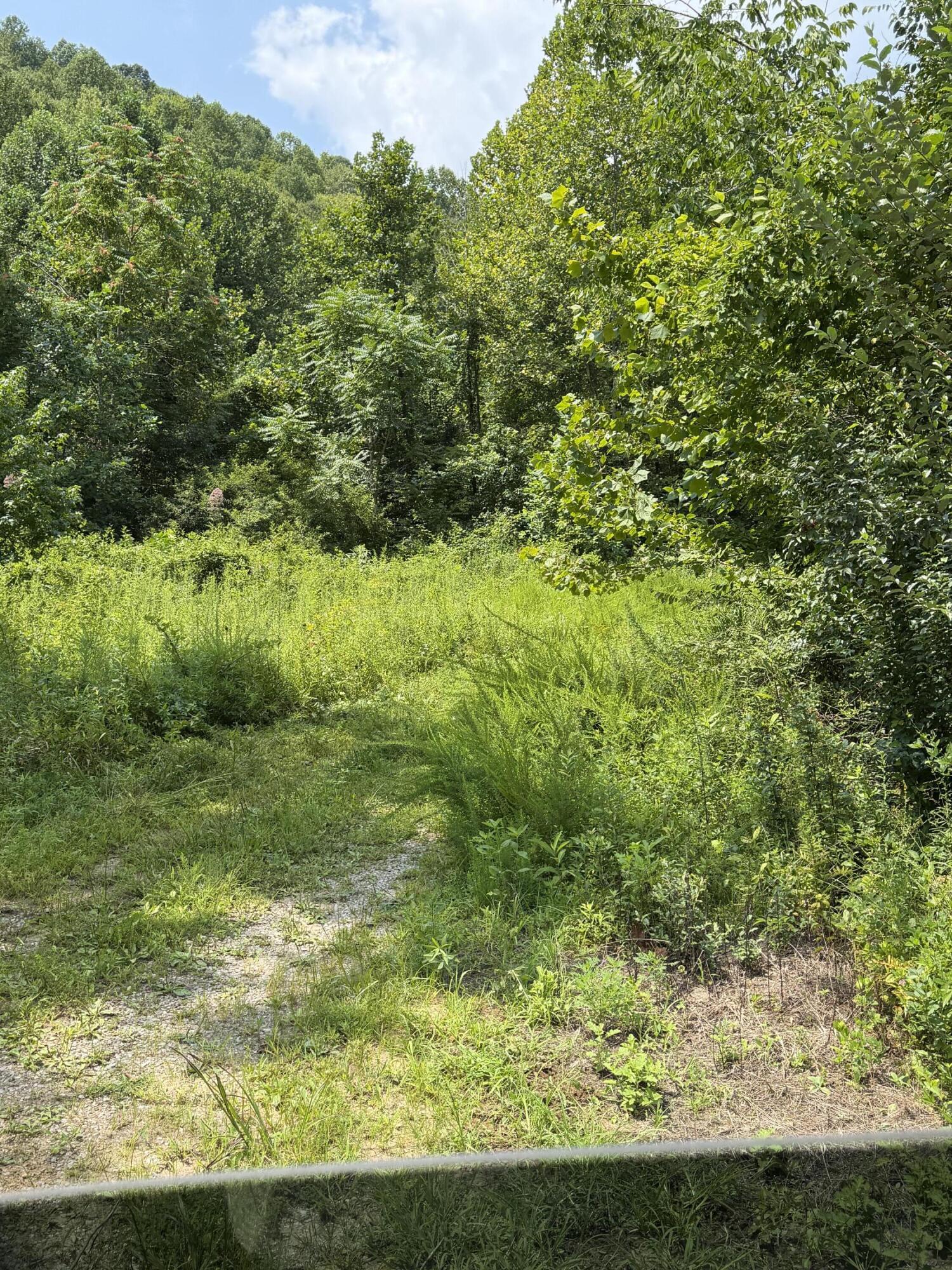 8888 Hales Fork Road Property Photo 6