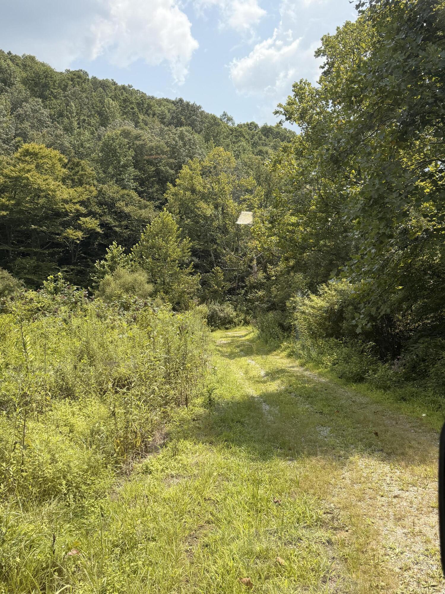 8888 Hales Fork Road Property Photo 7