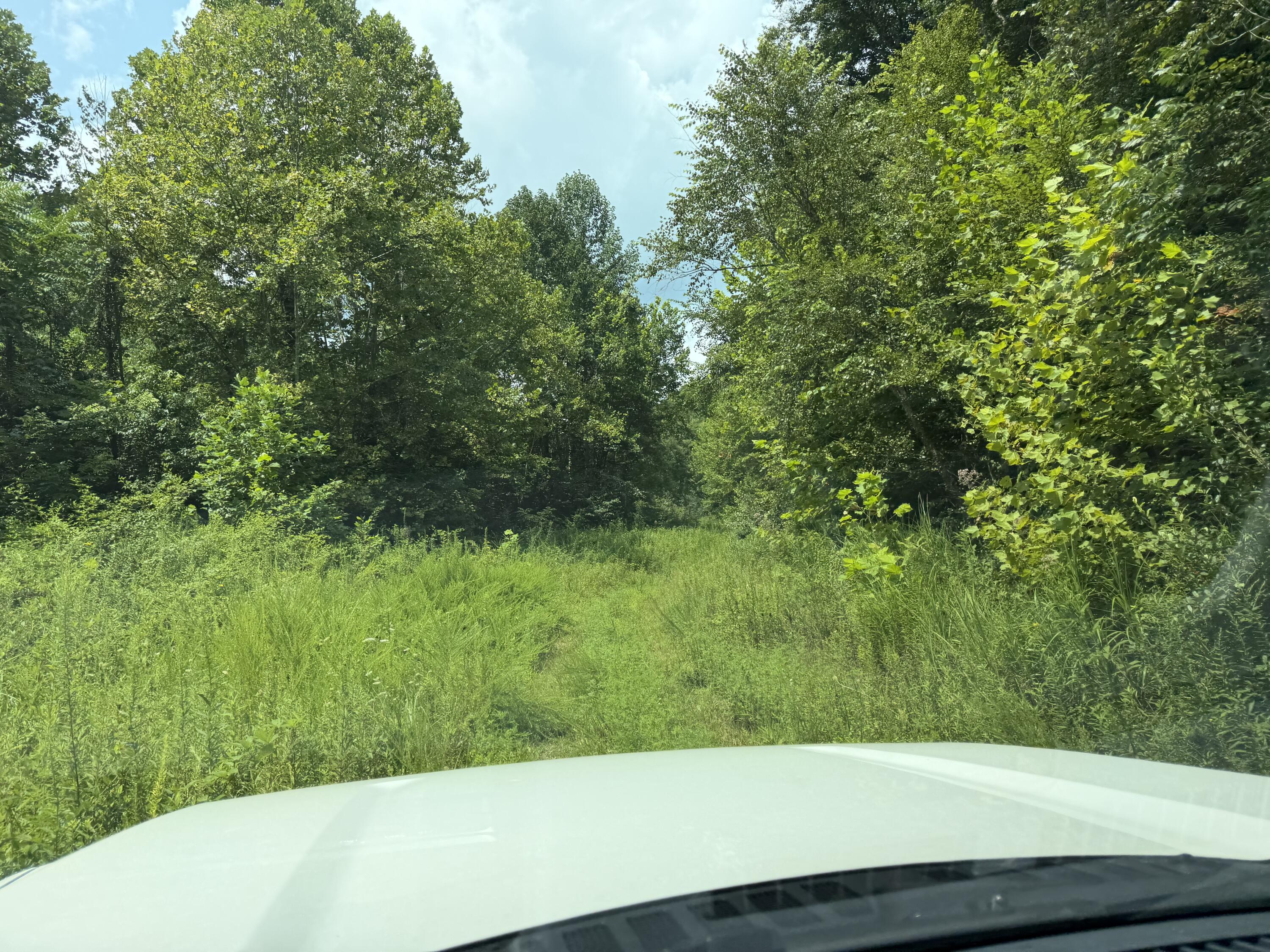 8888 Hales Fork Road Property Photo 8