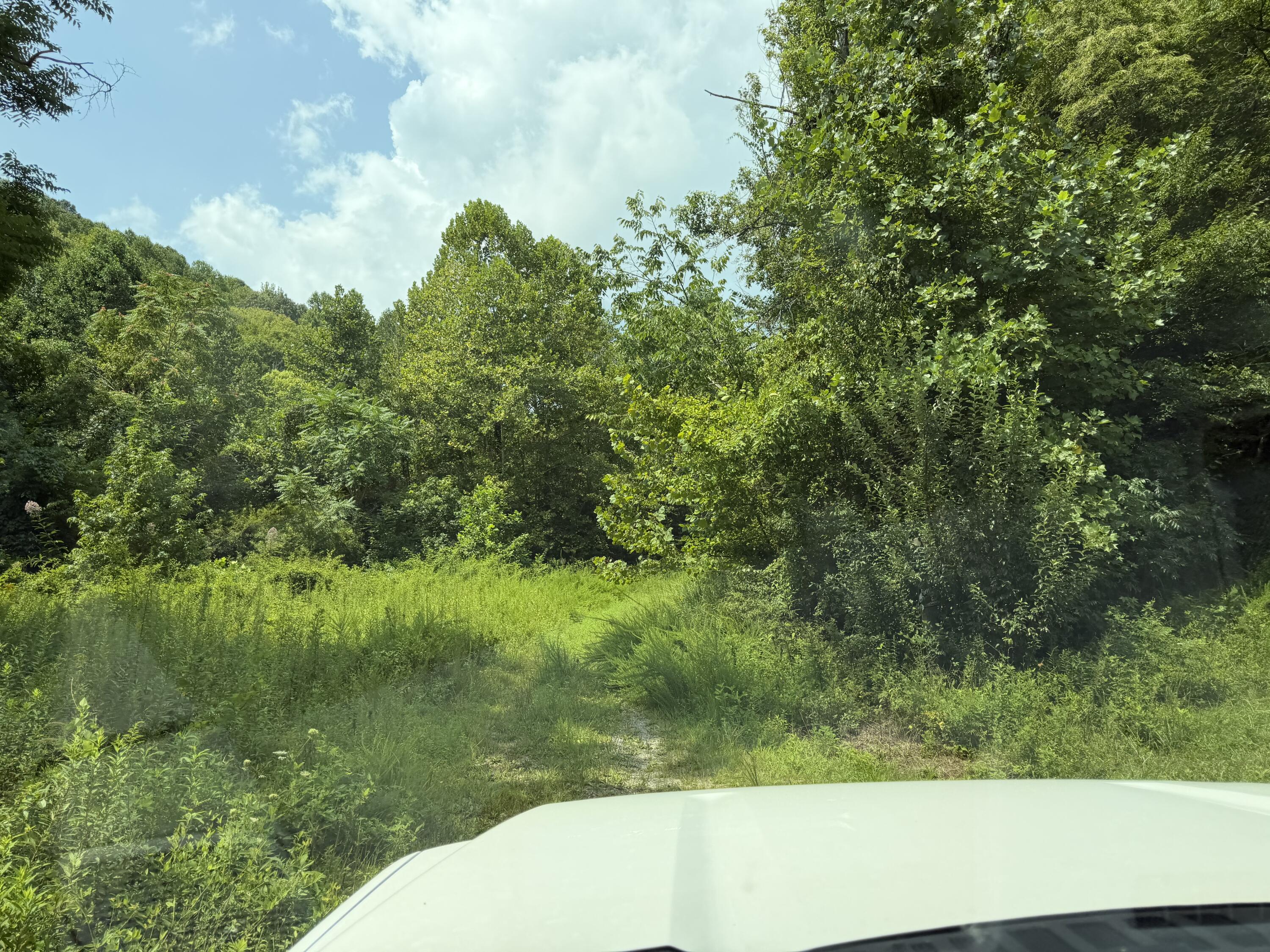 8888 Hales Fork Road Property Photo 9
