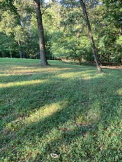 4b Shawnee Trail Property Photo 4