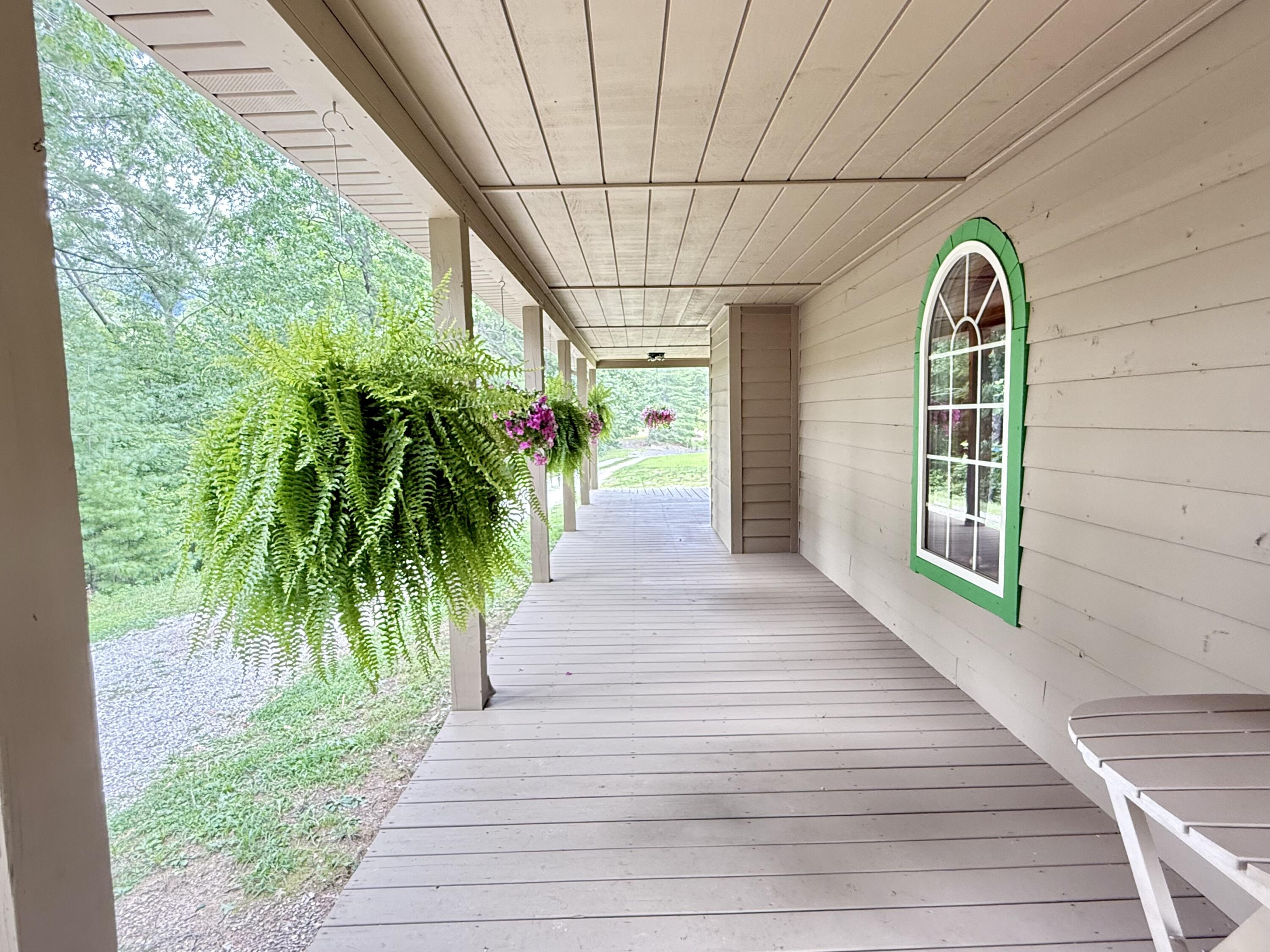 11732 Red Lick Road Property Photo 17