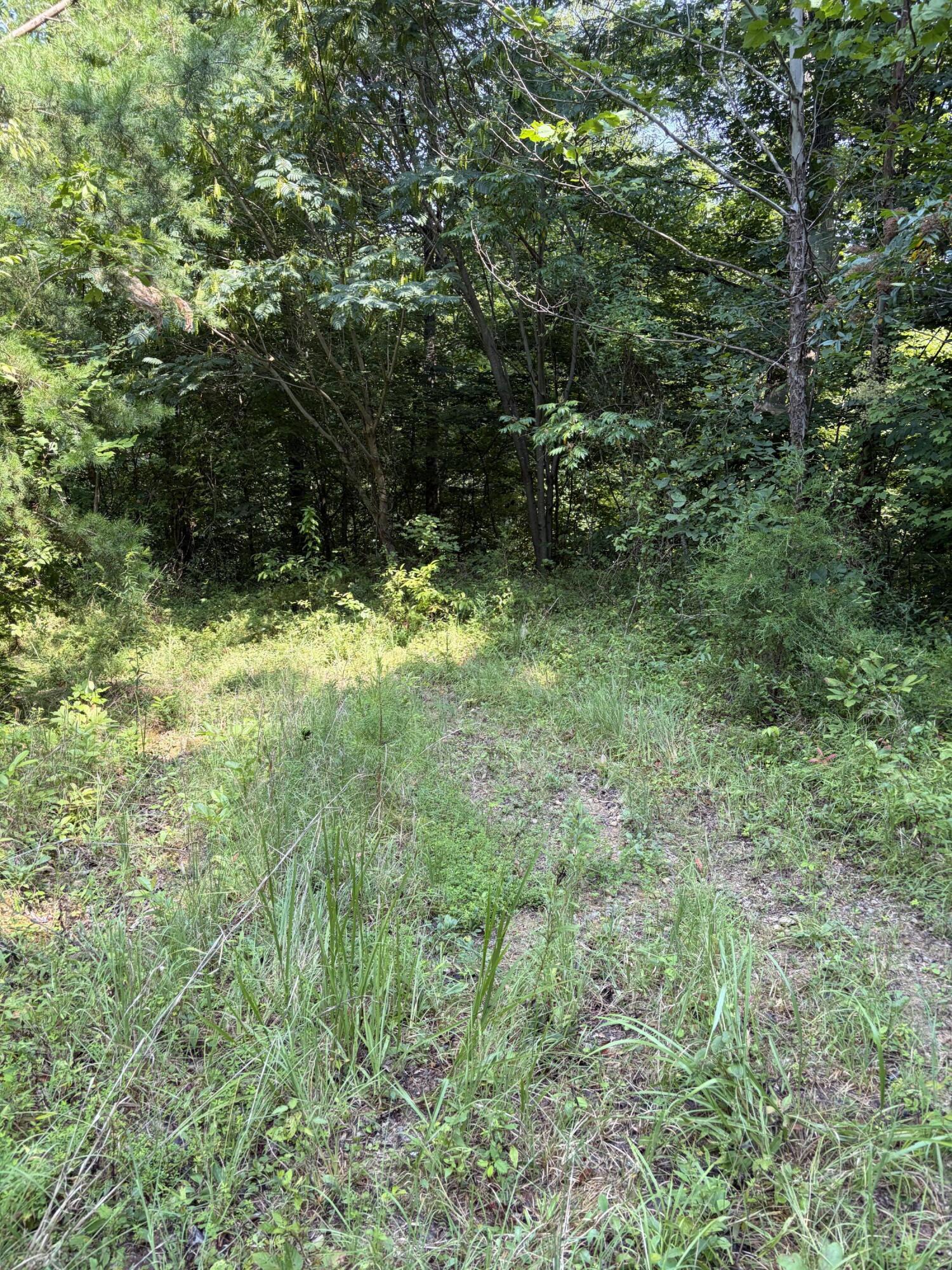 28 Squib-ano Road Property Photo 4