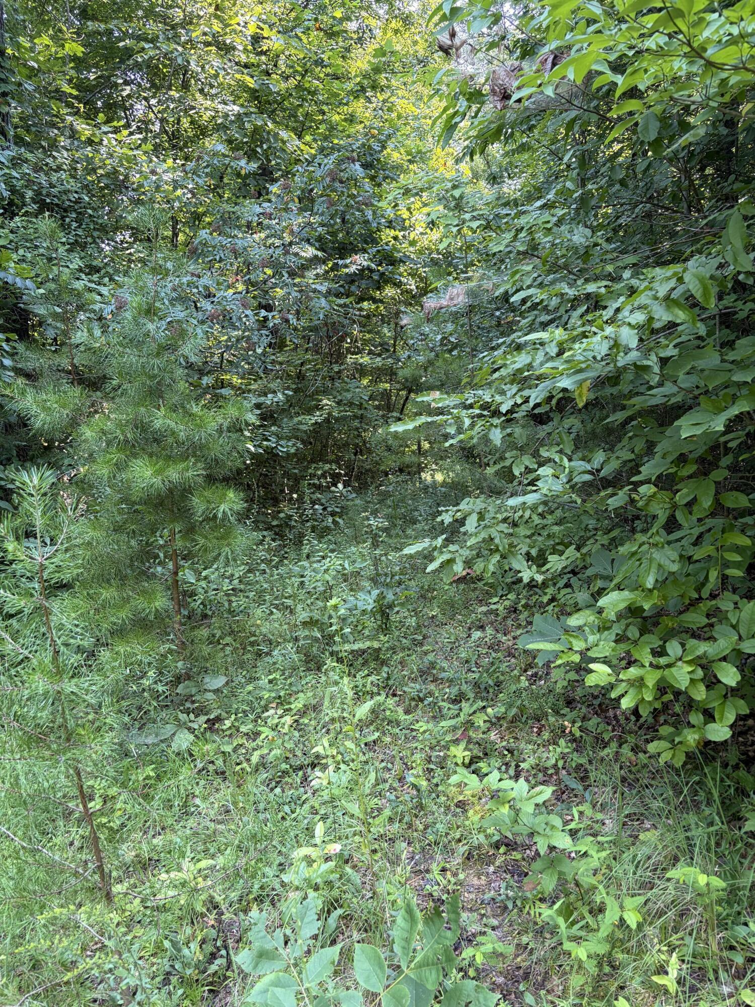 28 Squib-ano Road Property Photo 5