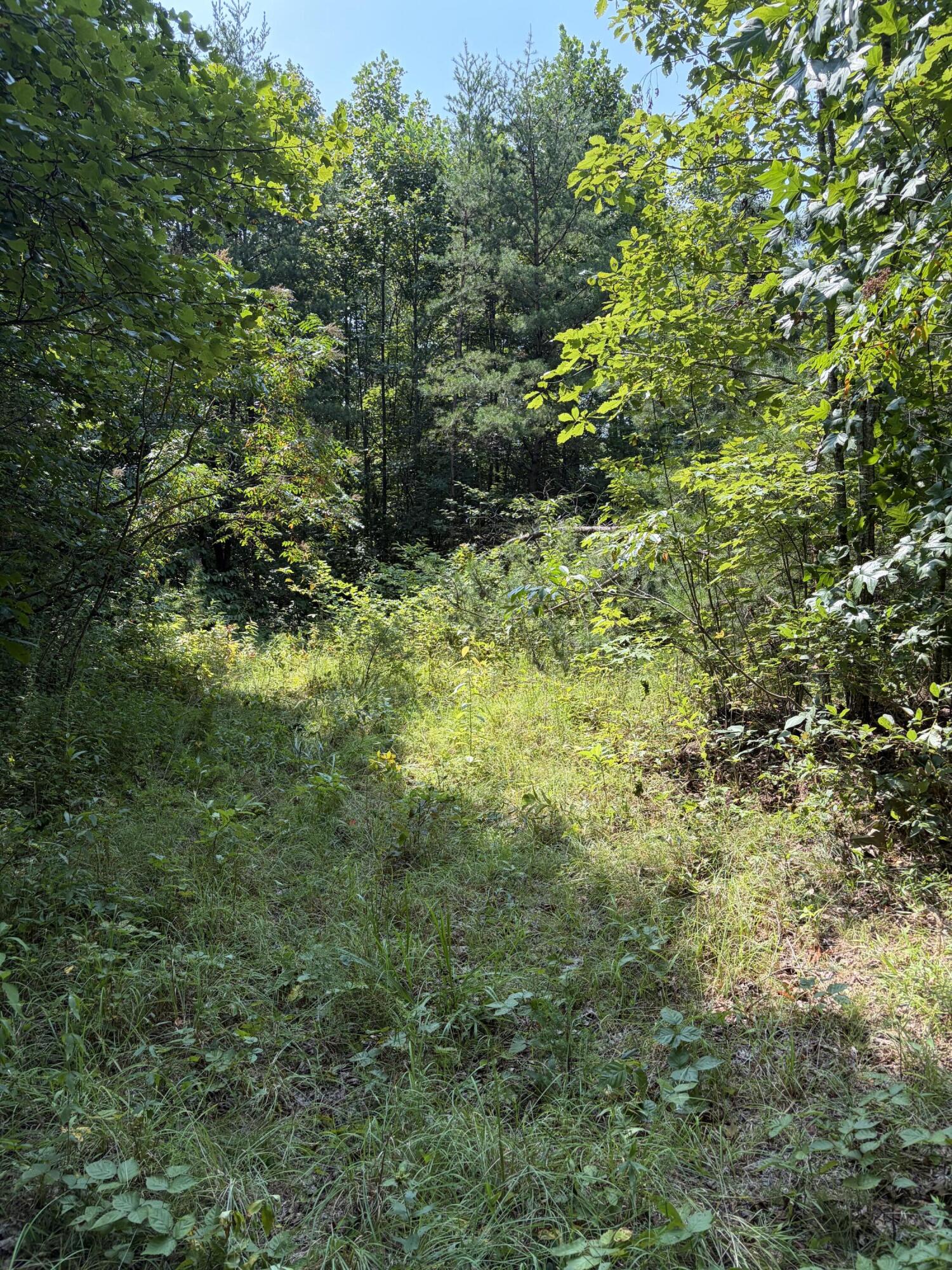 28 Squib-ano Road Property Photo 8
