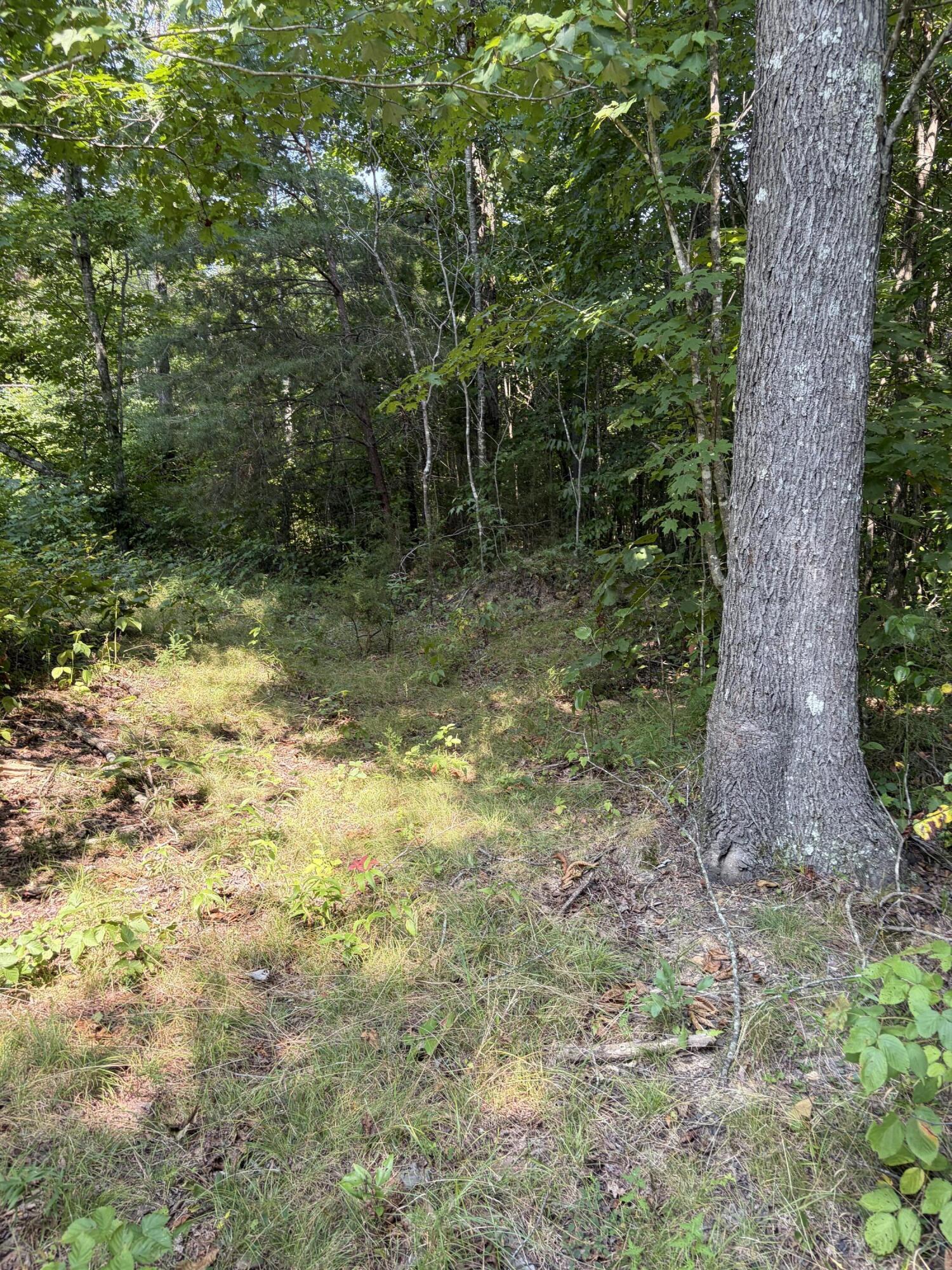 28 Squib-ano Road Property Photo 9