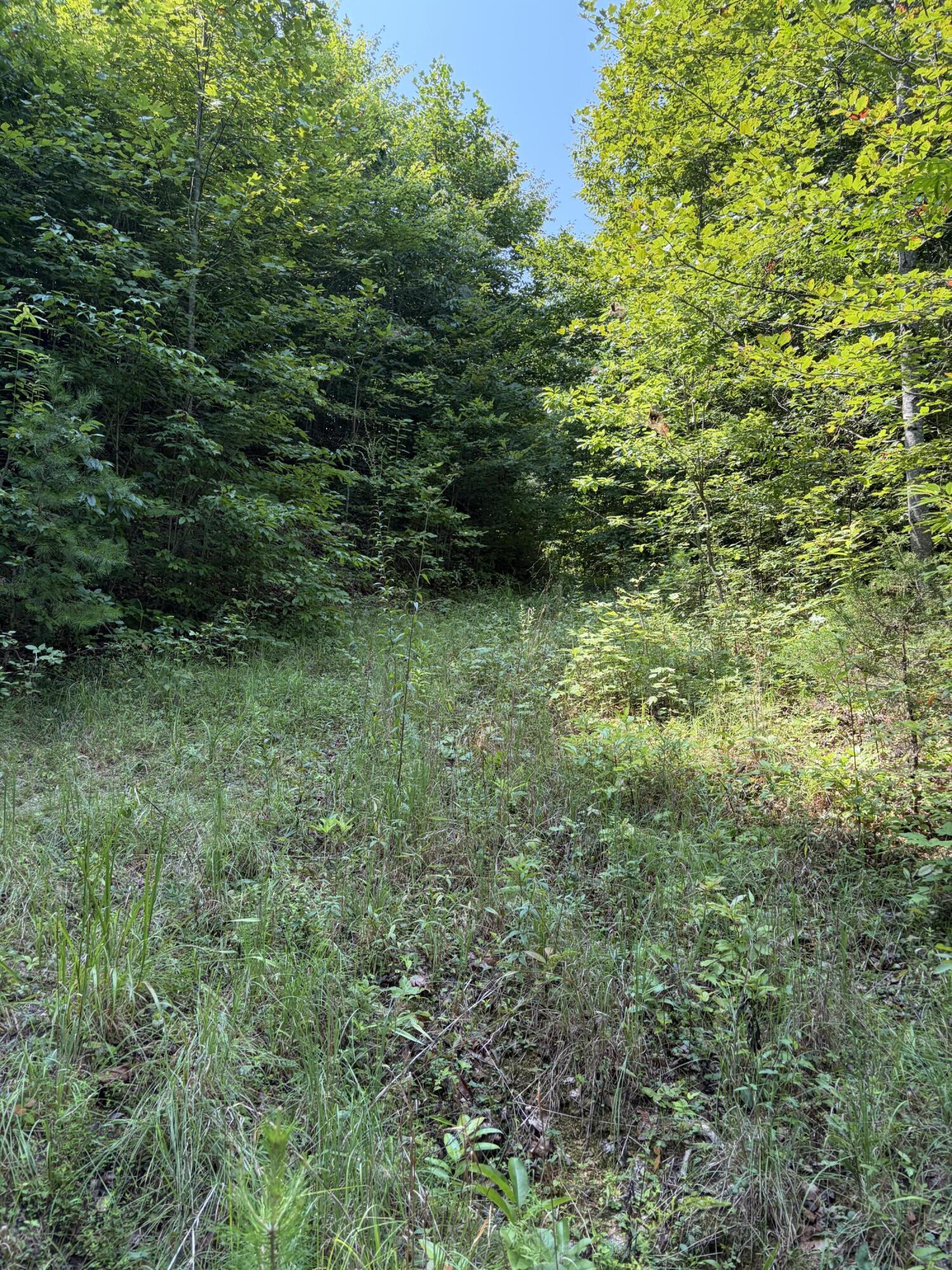 28 Squib-ano Road Property Photo 11
