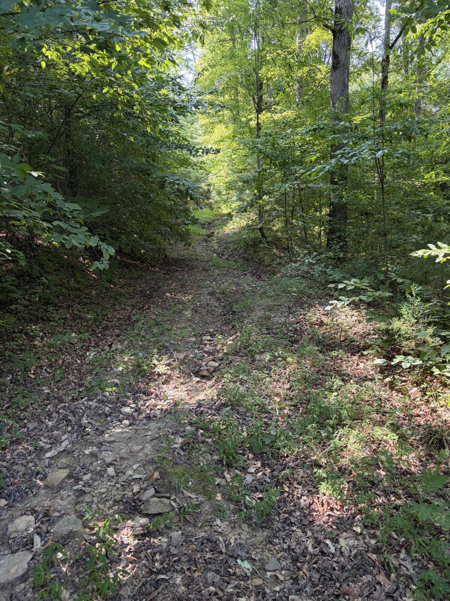 28 Squib-ano Road Property Photo 13