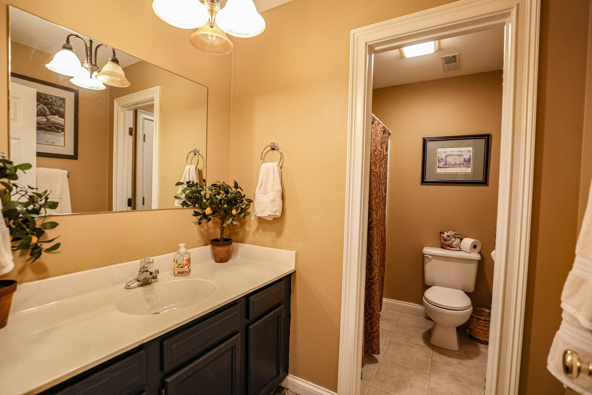 20 Timber Ridge Dr Drive Property Photo 72
