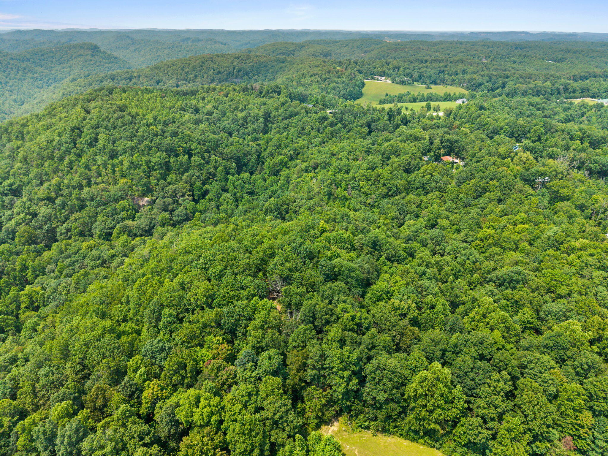 Lot 87 Property Photo 4