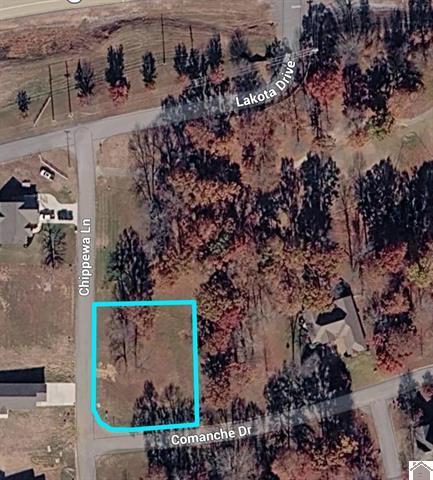 Lot 2 Comanche Drive Property Photo 1