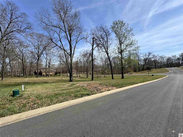 Lot 2 Comanche Drive Property Photo 2