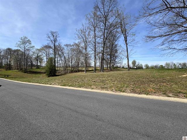Lot 8 Comanche Drive Property Photo 3