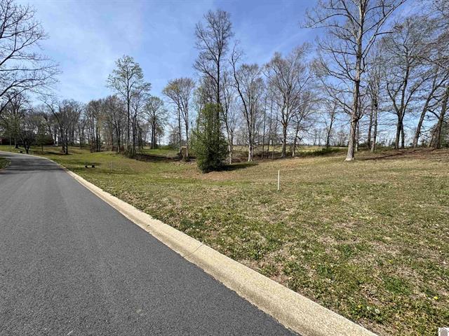 Lot 8 Comanche Drive Property Photo 4