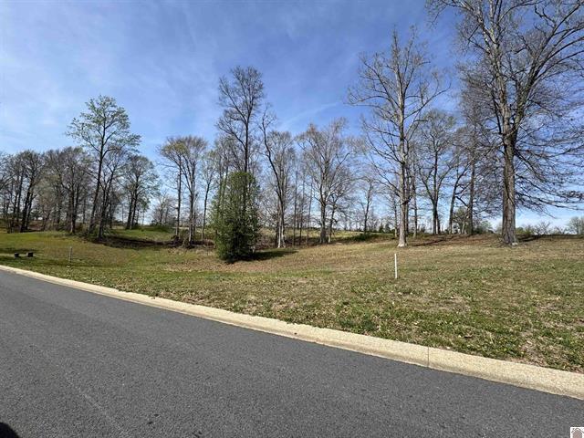 Lot 8 Comanche Drive Property Photo 5
