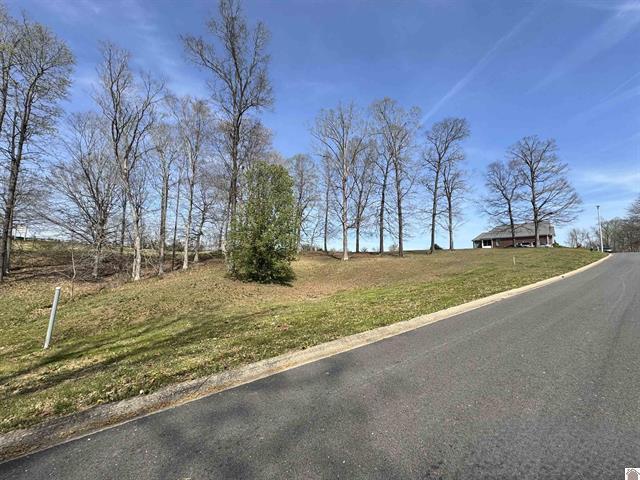 Lot 8 Comanche Drive Property Photo 6