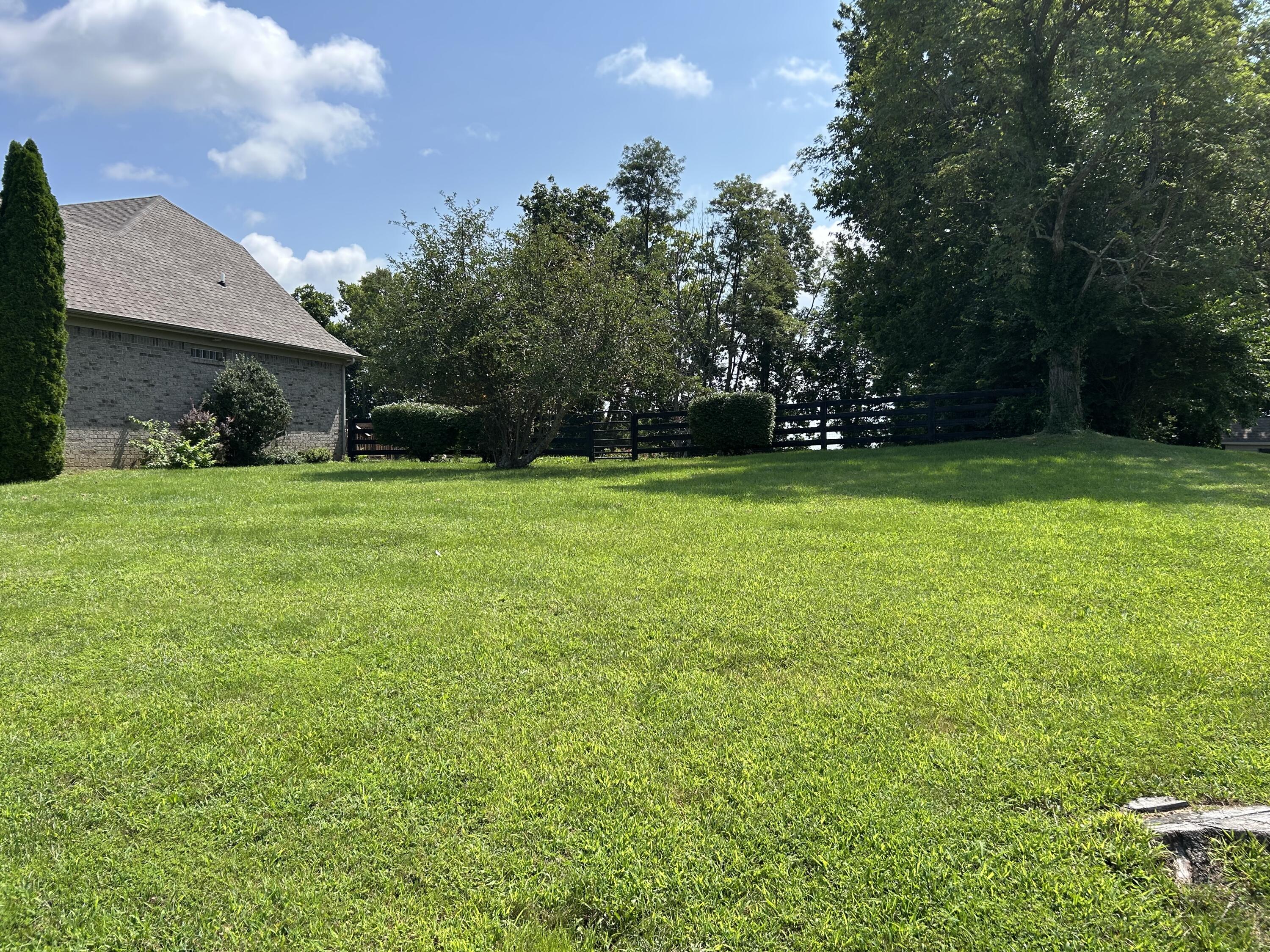 232 View Point Drive Property Photo 4
