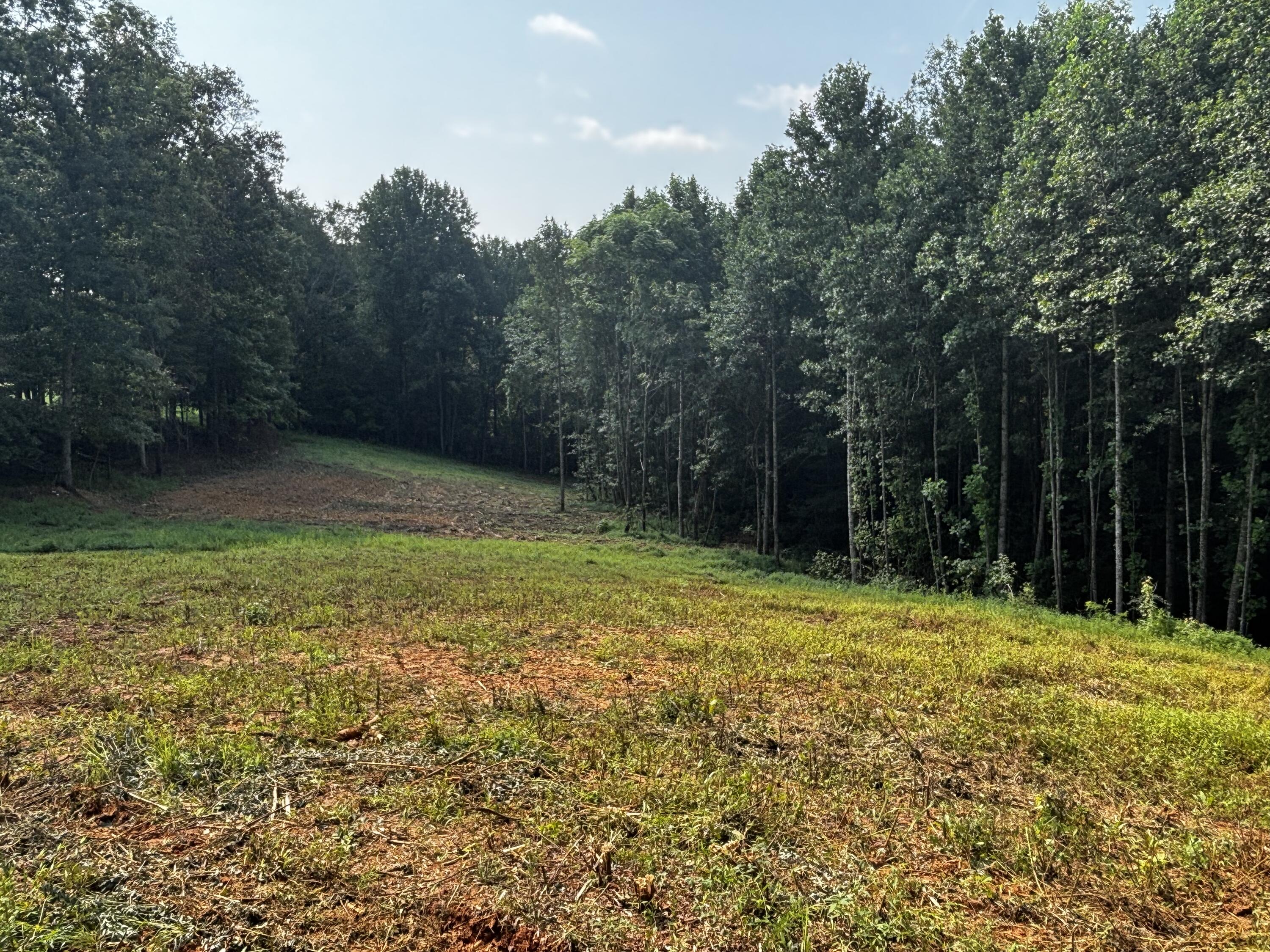 0 Speck Road Property Photo 1