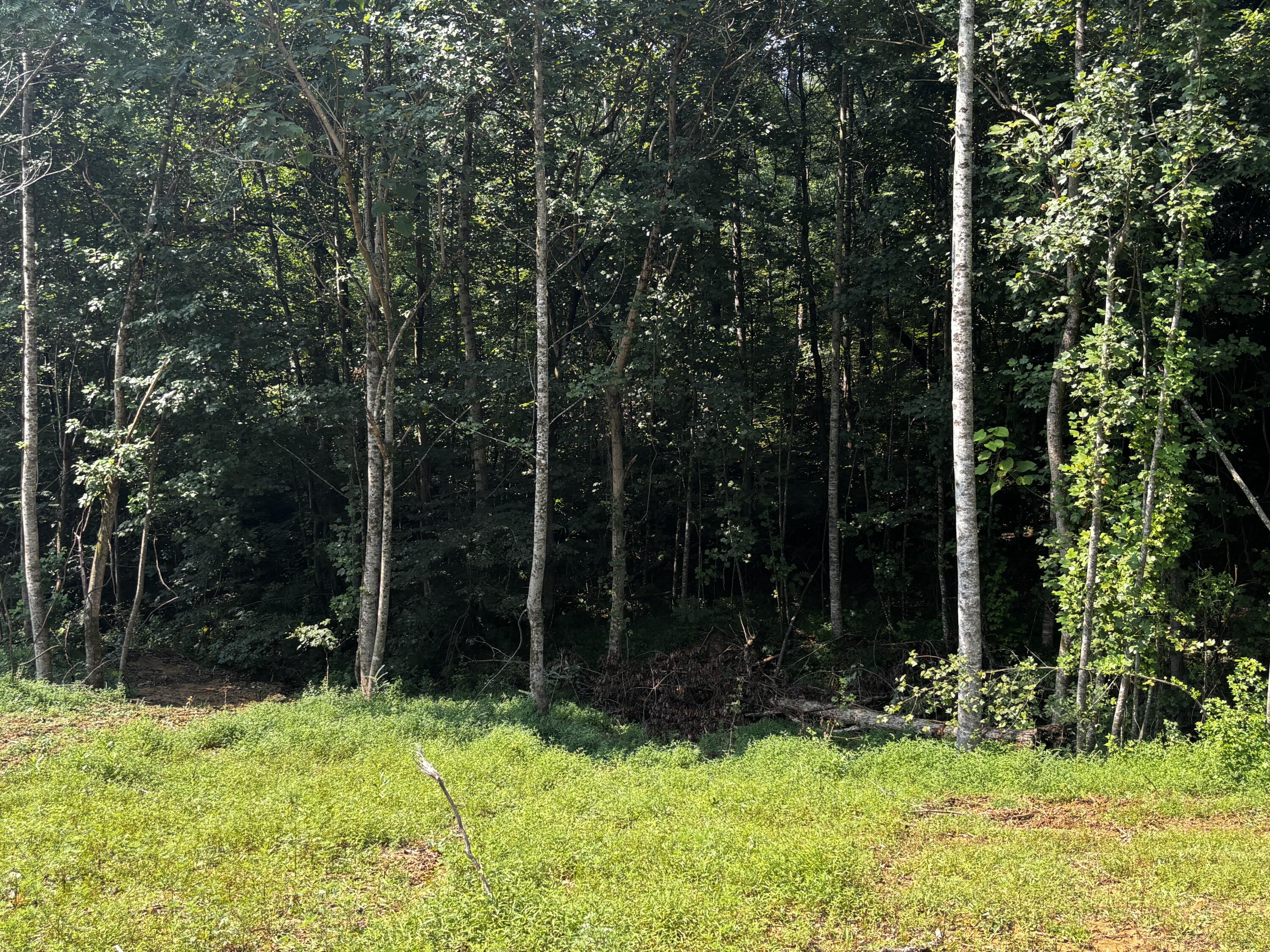 0 Speck Road Property Photo 2