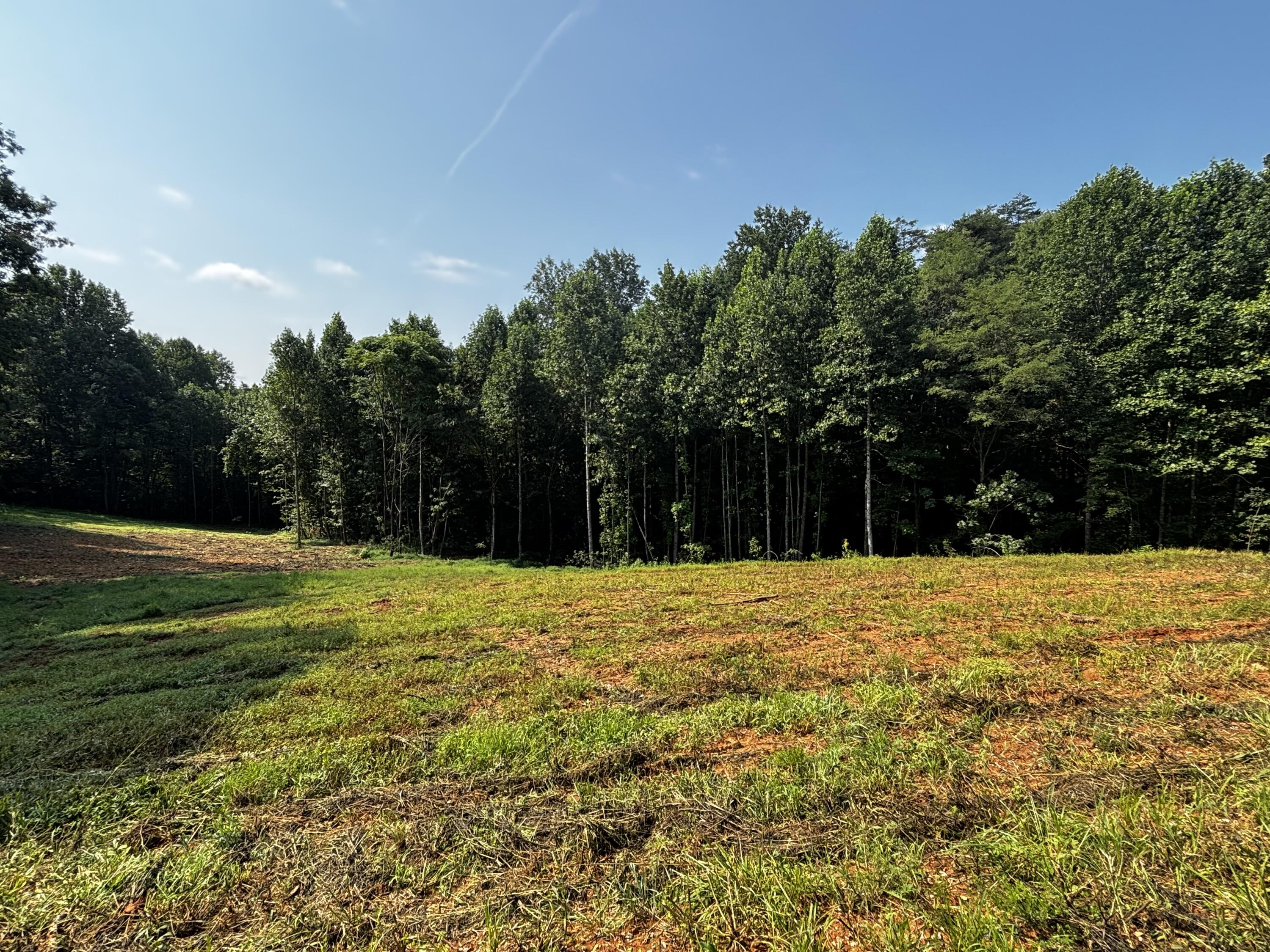 0 Speck Road Property Photo 5
