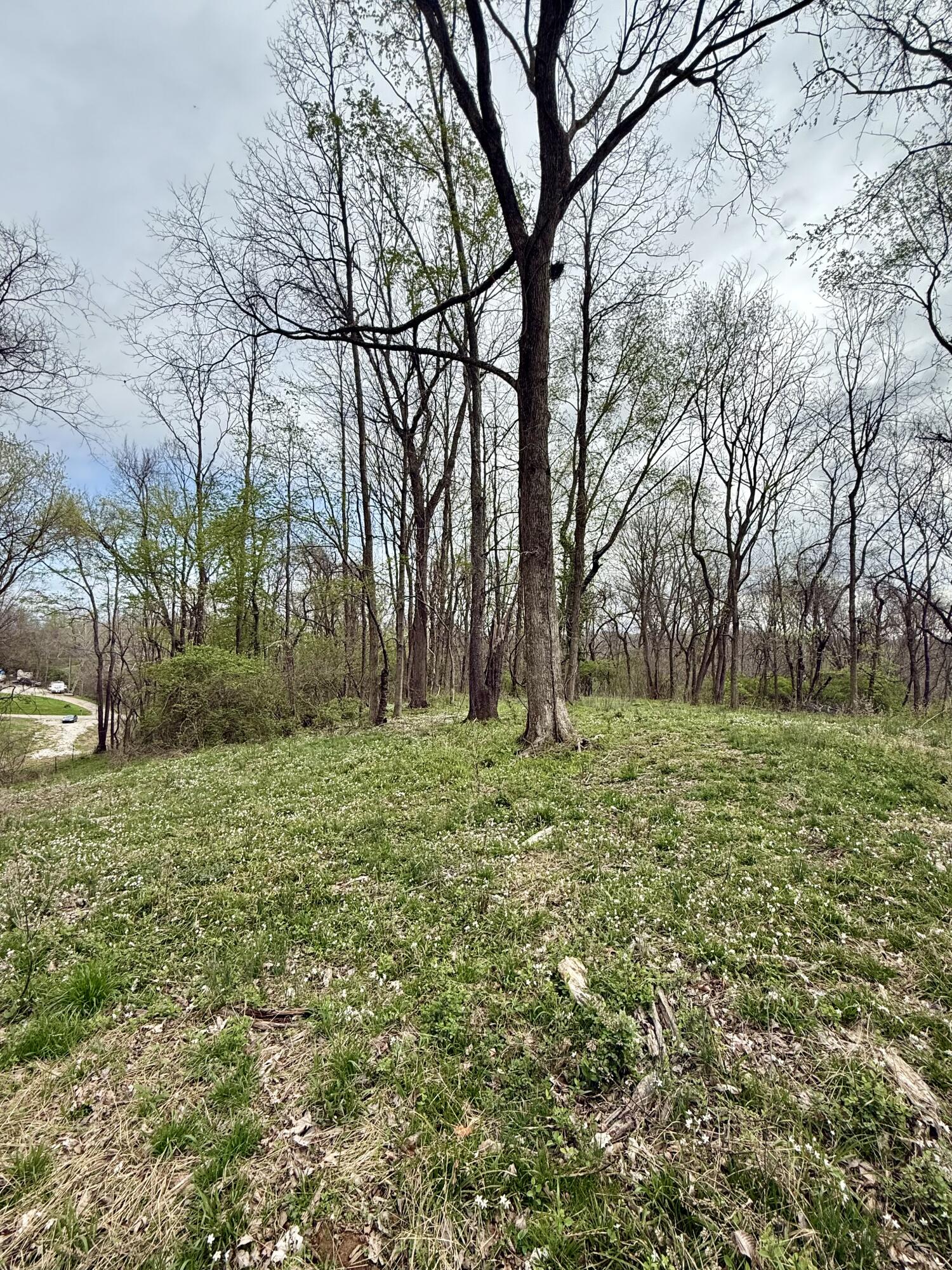 4091 Akin Lane Property Photo 2