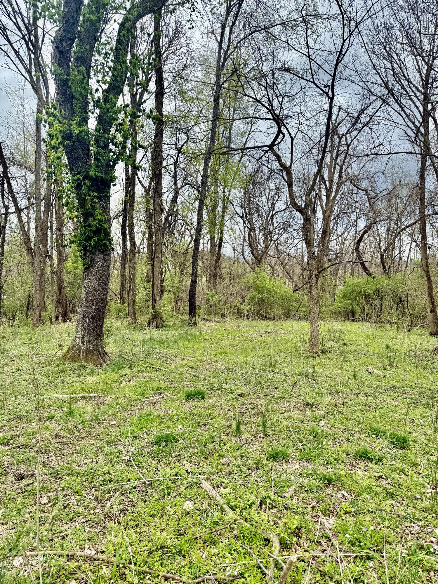 4091 Akin Lane Property Photo 3