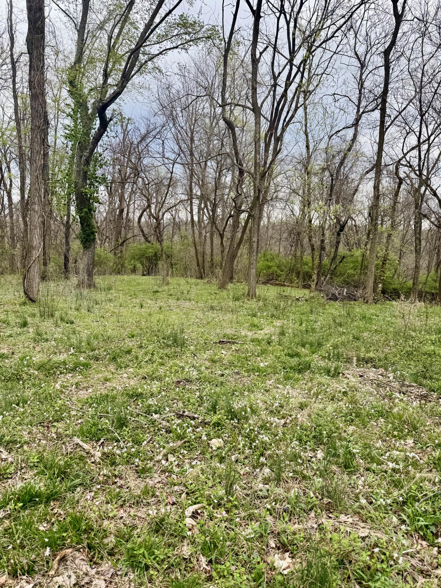 4091 Akin Lane Property Photo 4