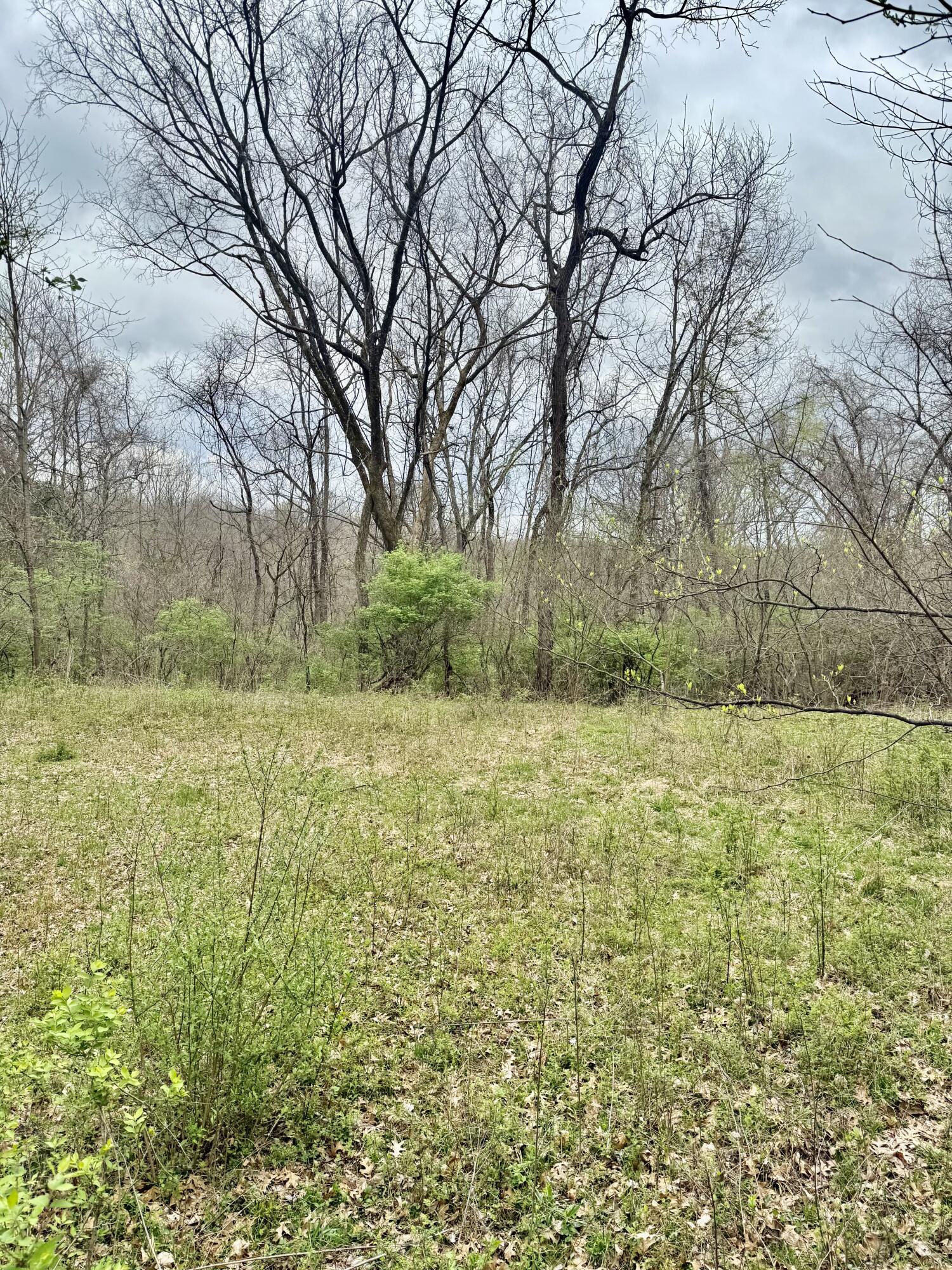 4091 Akin Lane Property Photo 5