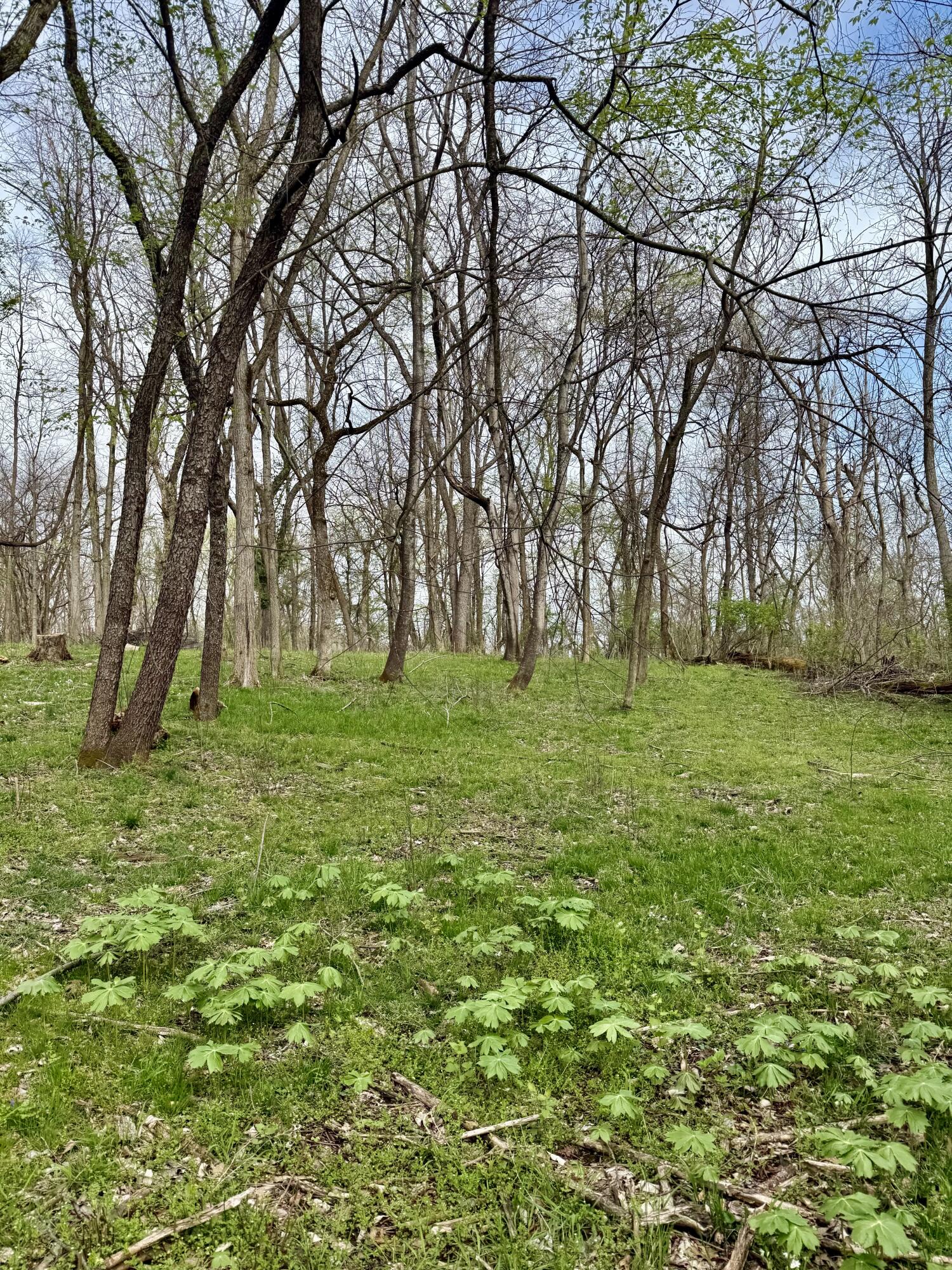 4091 Akin Lane Property Photo 6