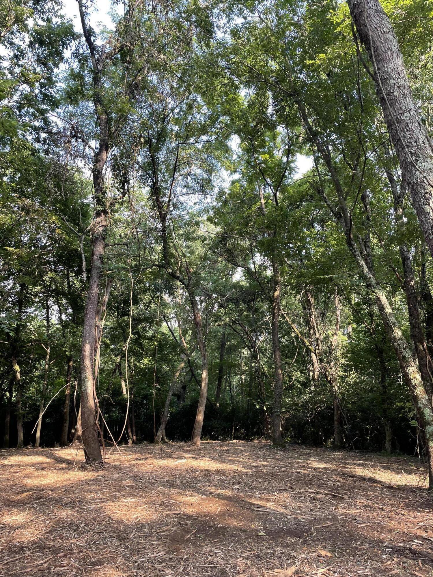 4091 Akin Lane Property Photo 12