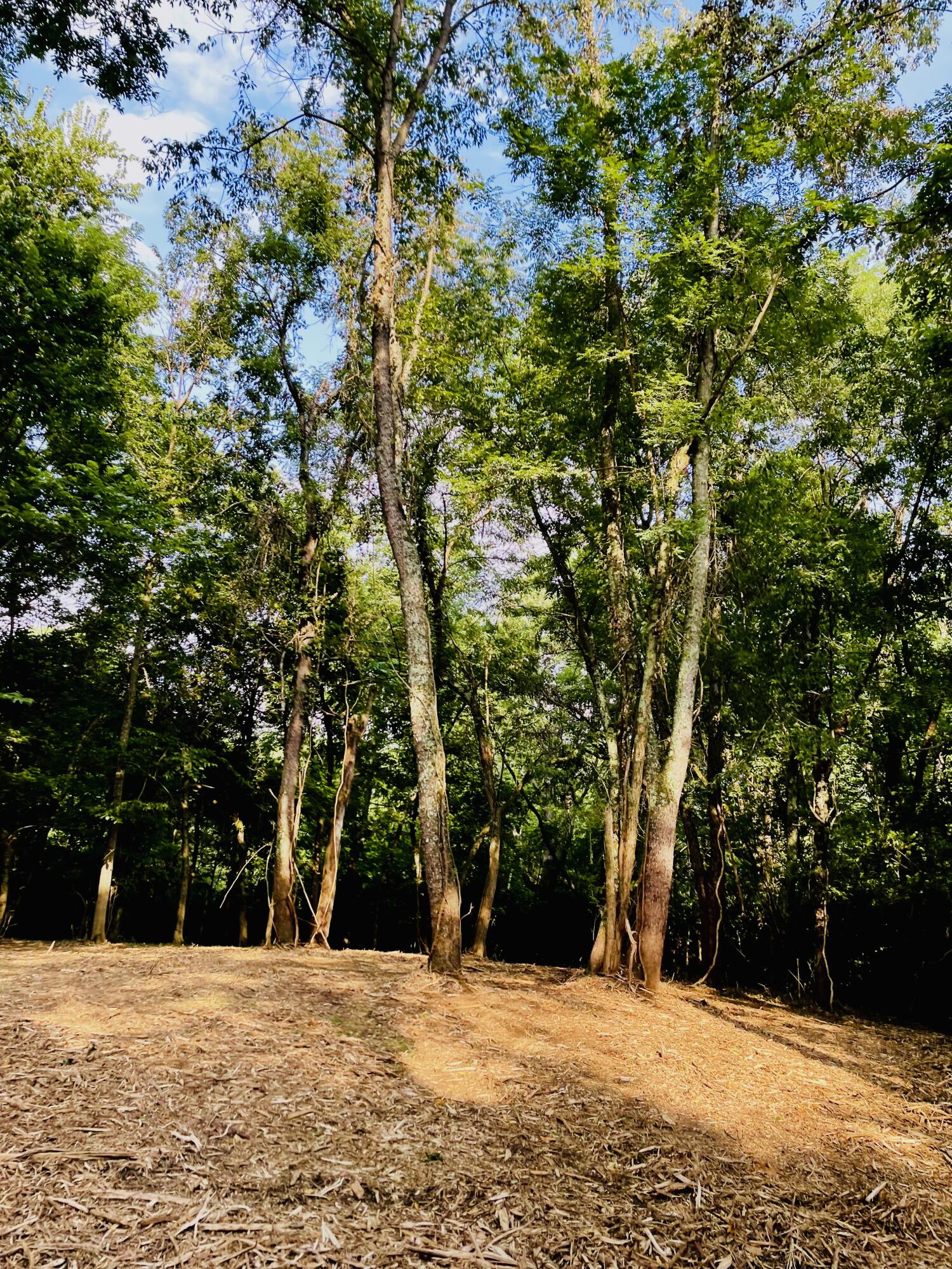 4091 Akin Lane Property Photo 14