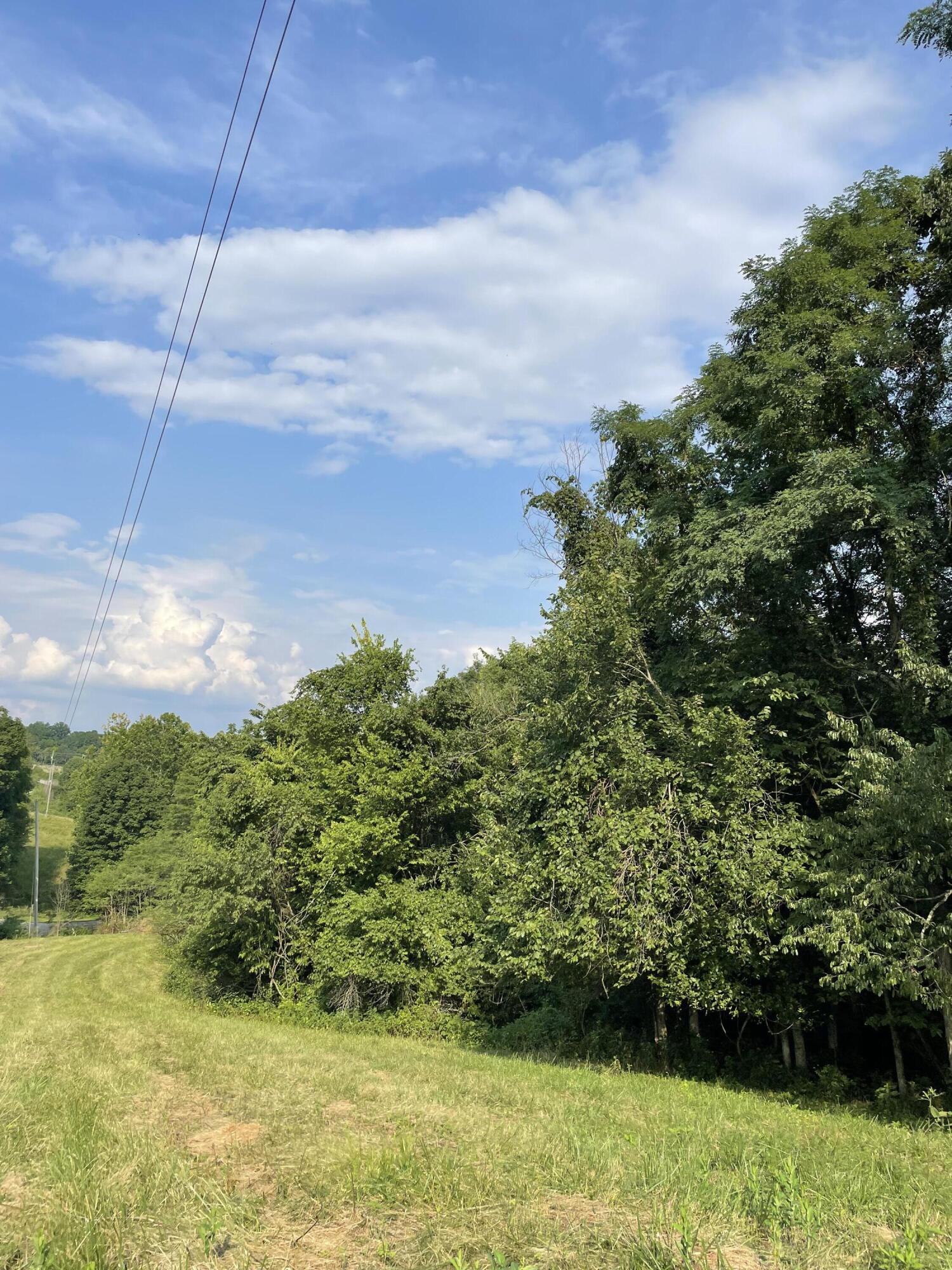 4107 Akin Lane Property Photo 4