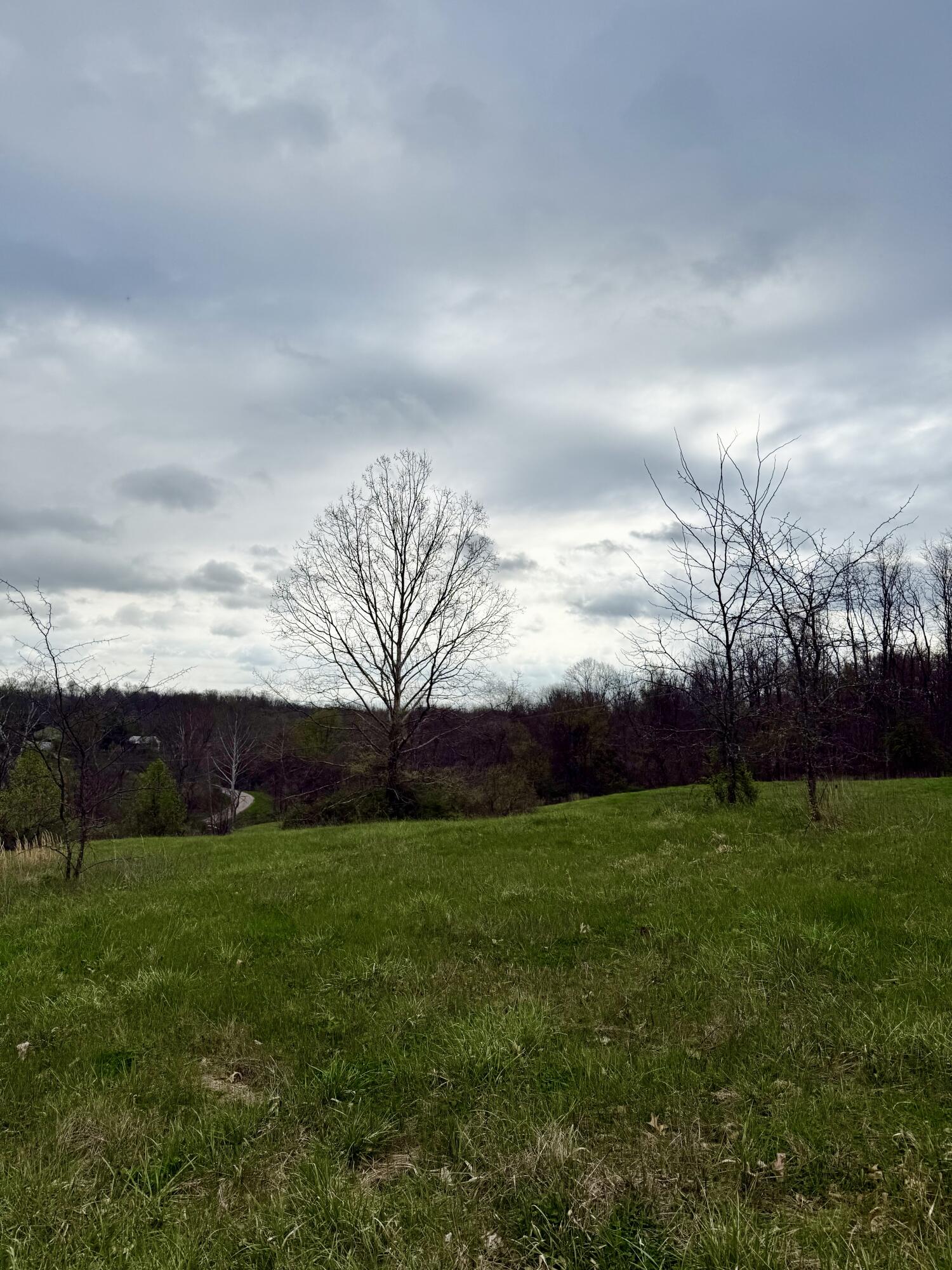 4107 Akin Lane Property Photo 8